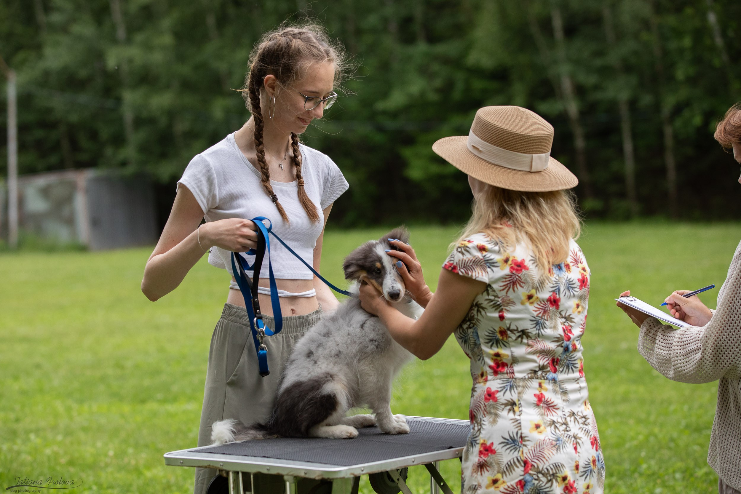 Репортаж с выводки молодняка колли/шелти в Ясенево. Фотограф-анималист в Москве и Московской области Татьяна Фролова
