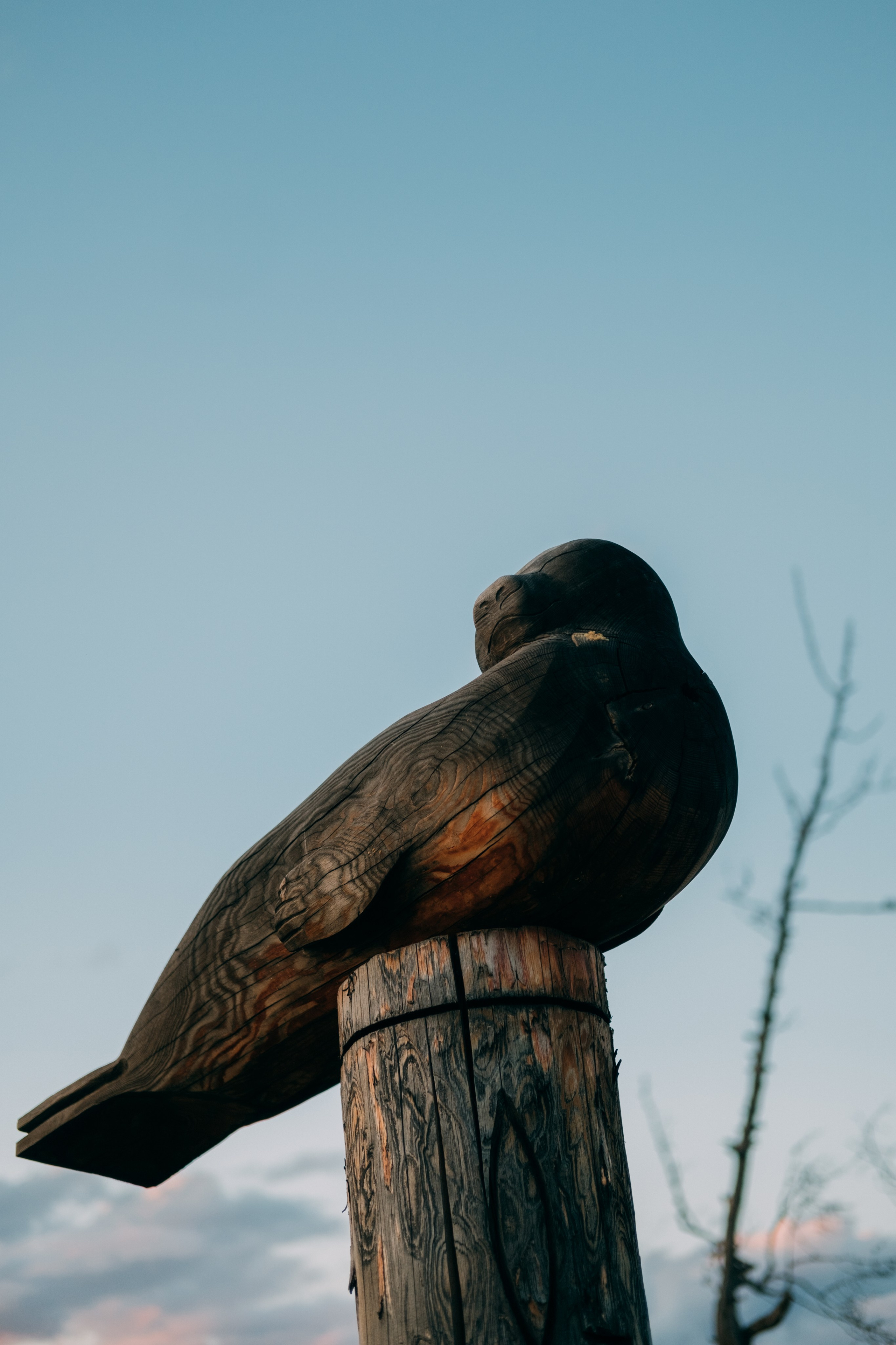 Фестиваль перфоманса Ради света. Фотограф в Иркутске Анна Мирошникова