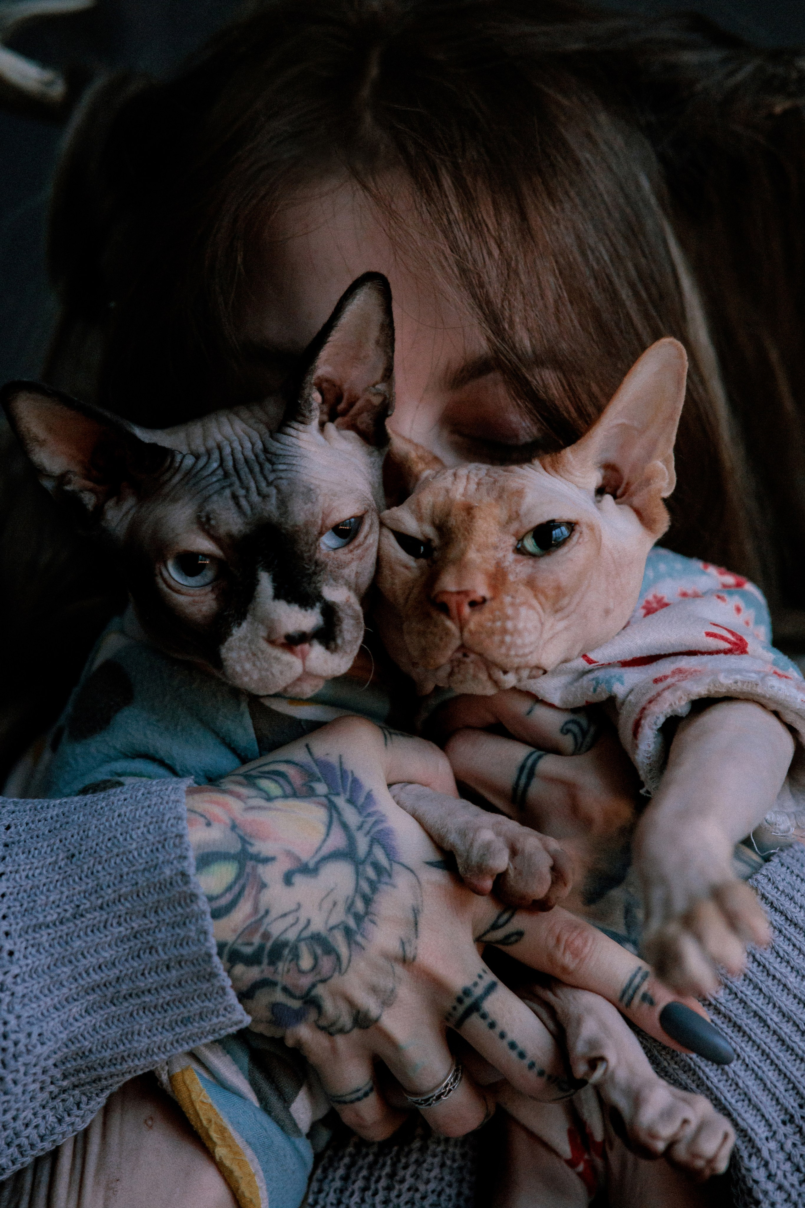 Алиса и котики. Фотограф в Санкт-Петербурге Алёна Губинская