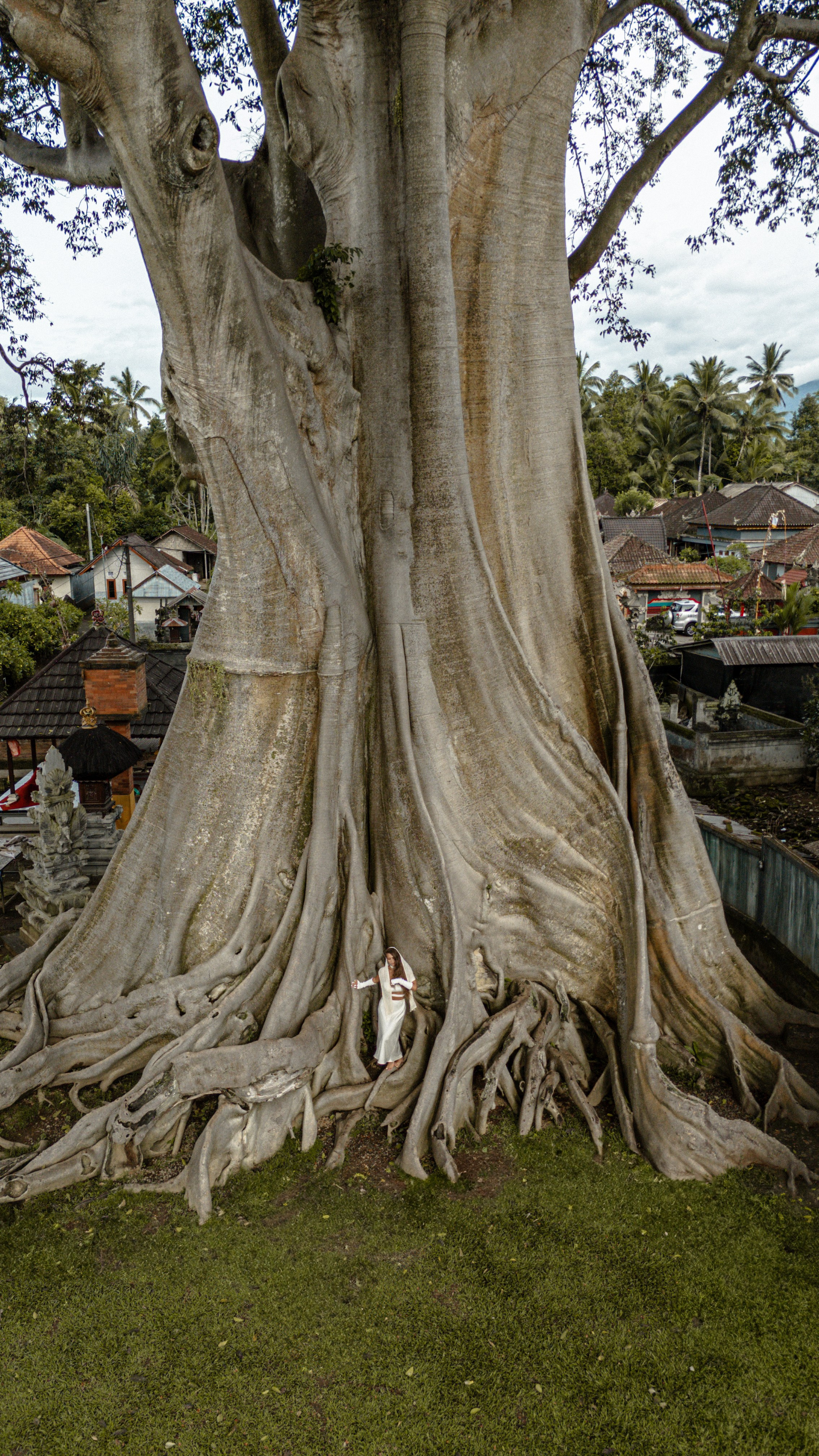 Darina. Alena Gribkova