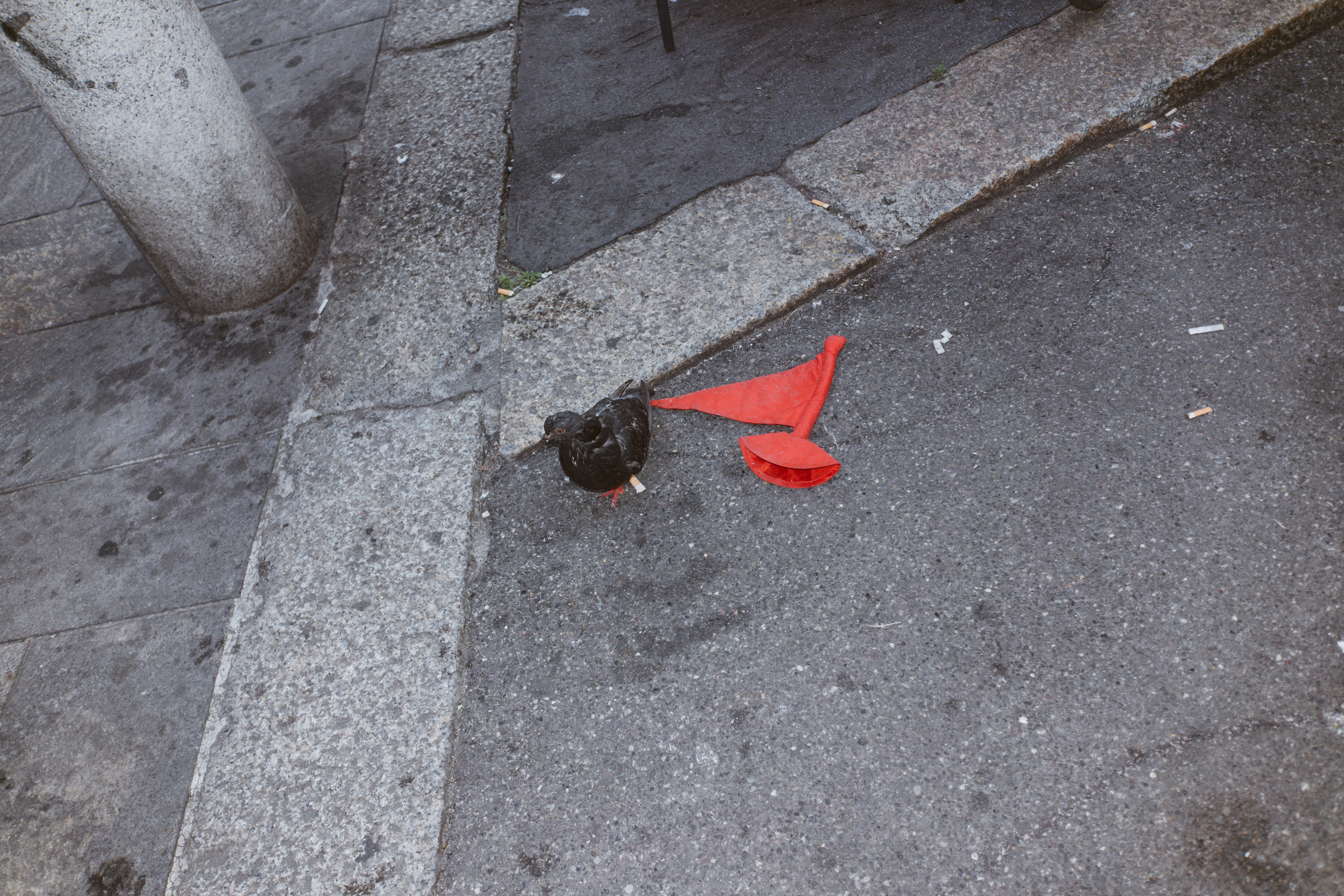 Milano “don’t look up”. Sasha Speranskii — Conceptual Photographer | Based in Moscow