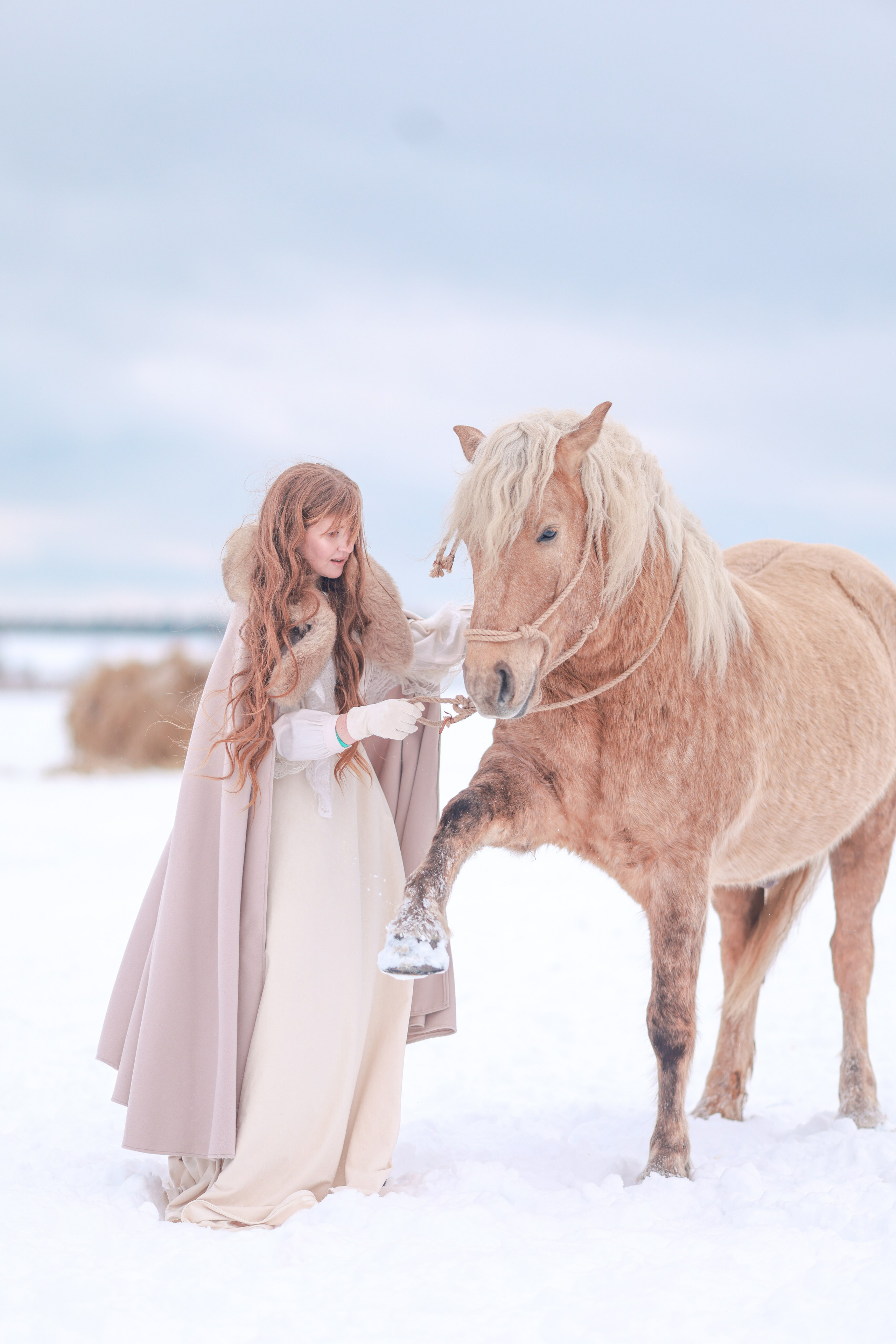 Фотосессии с лошадьми