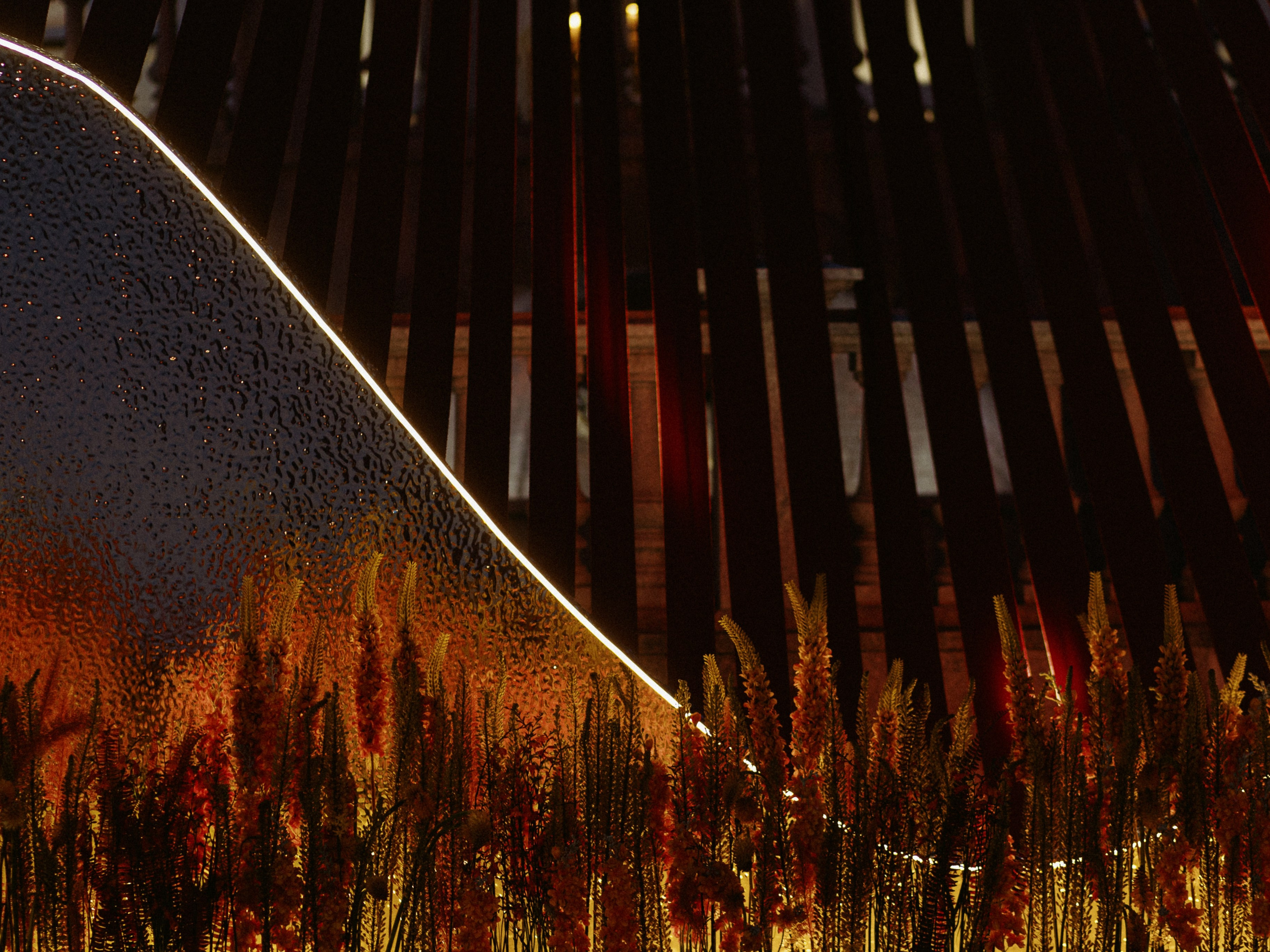 Рождение Венеры. Фотограф Serj Ganso