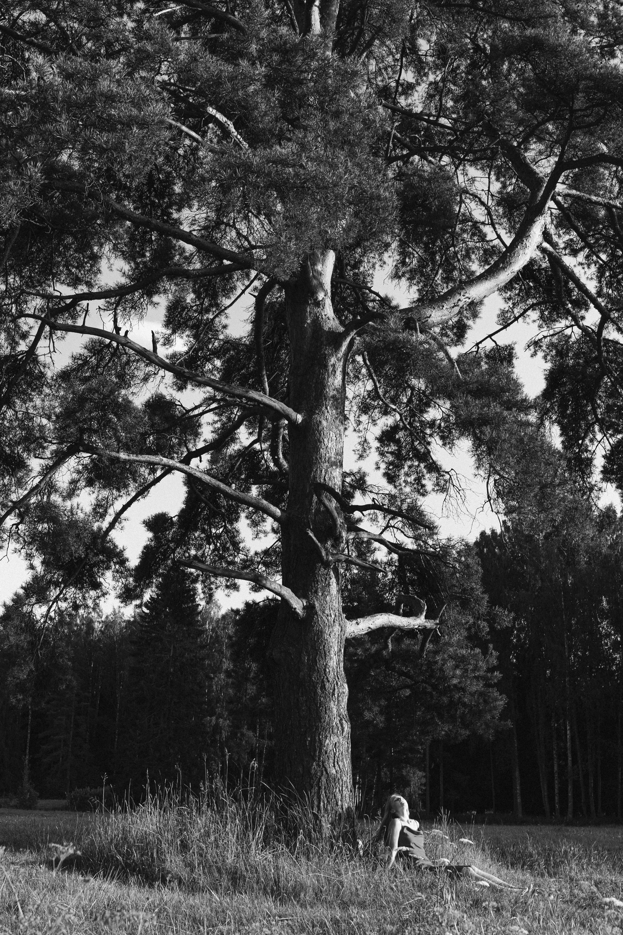 Лиза. Arina Chernykh