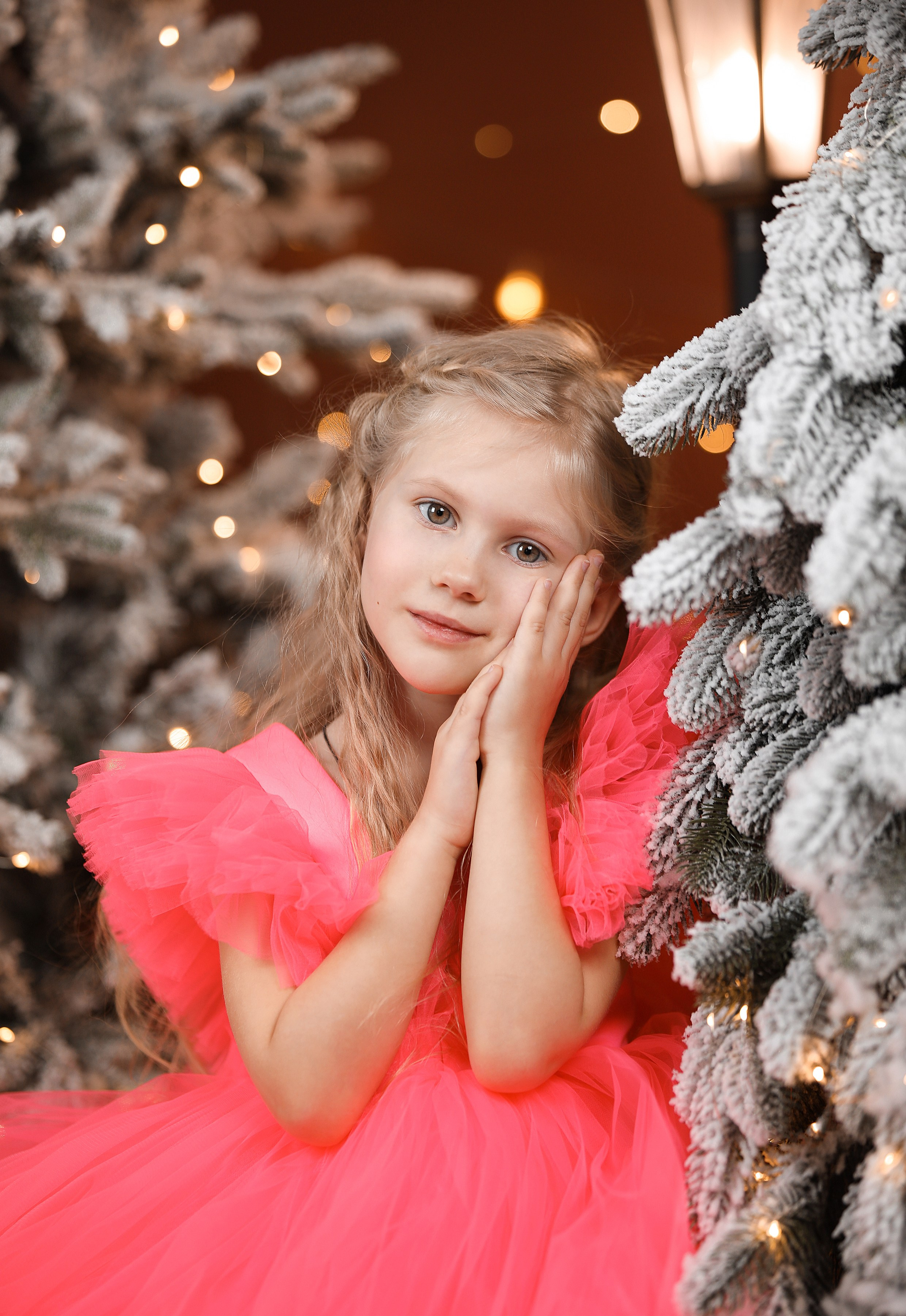 ФОТО ПРОЕКТ «НОВОГОДНИЙ». Школьный фотограф в Красноярске