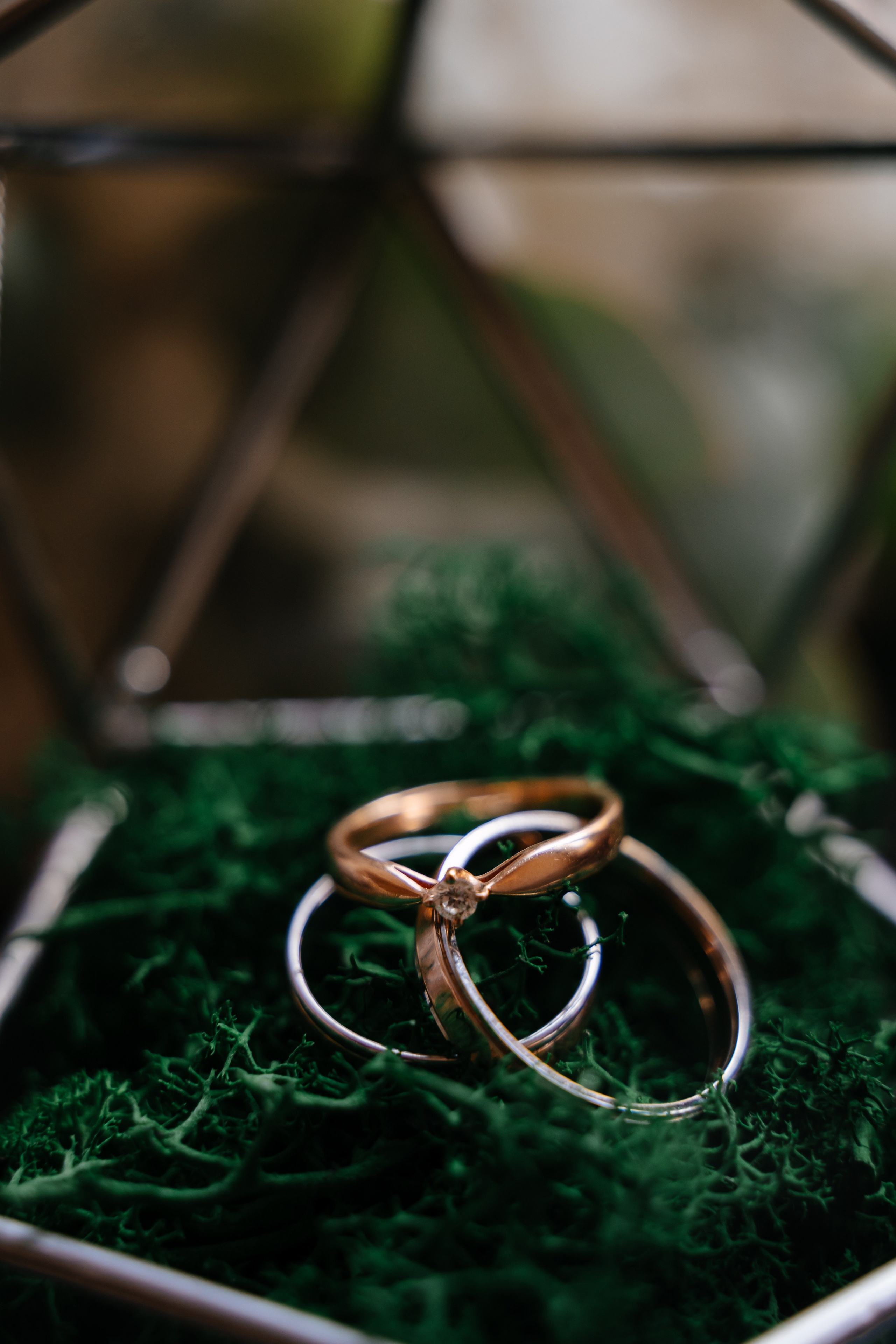 Мария и Иван. Семейный и свадебный фотограф в Санкт-Петербурге и Москве