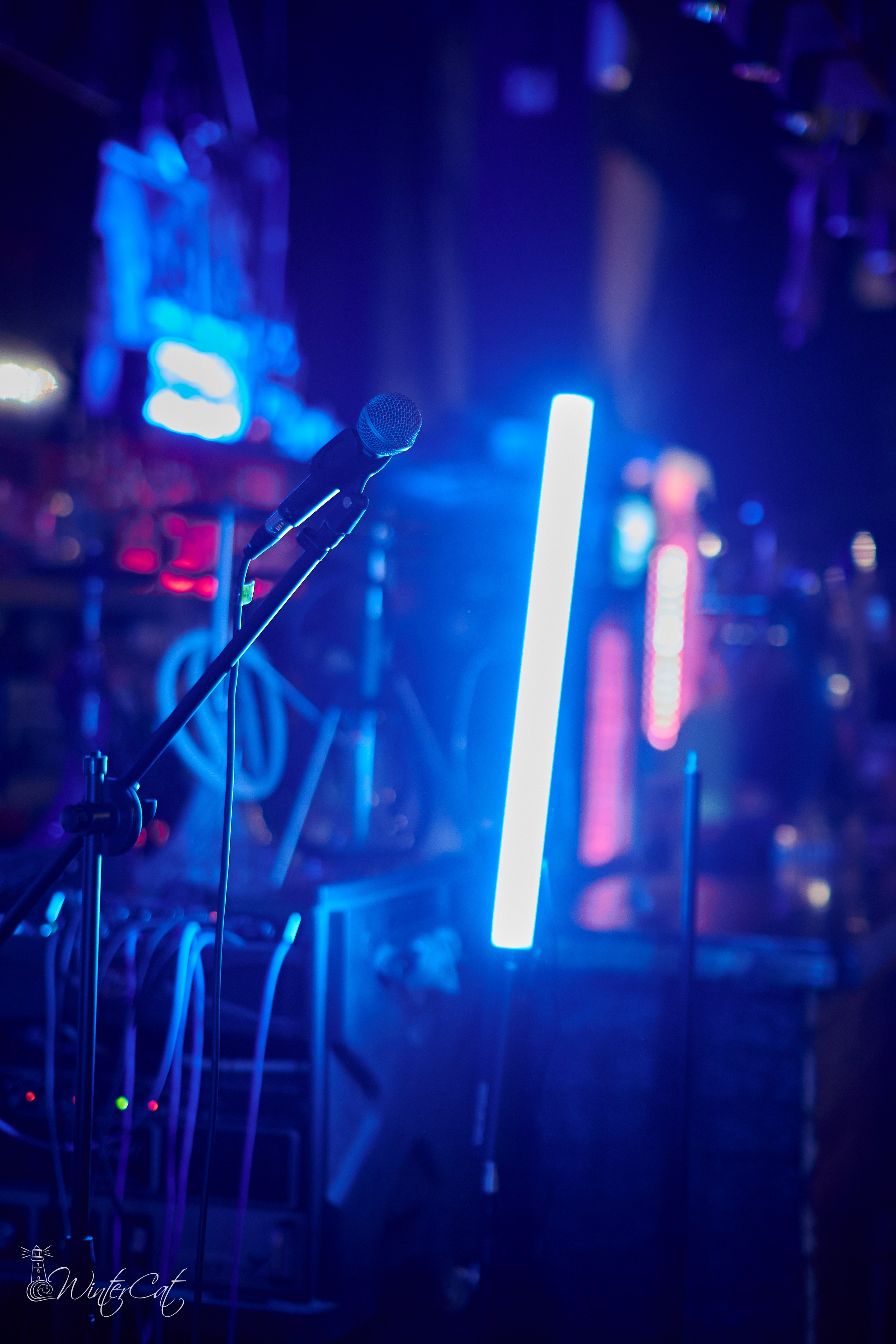 День Рождения Честер Четыре Года. Портретный и репортажный фотограф в Магадане Андрей Нефедов WinterCatPhoto