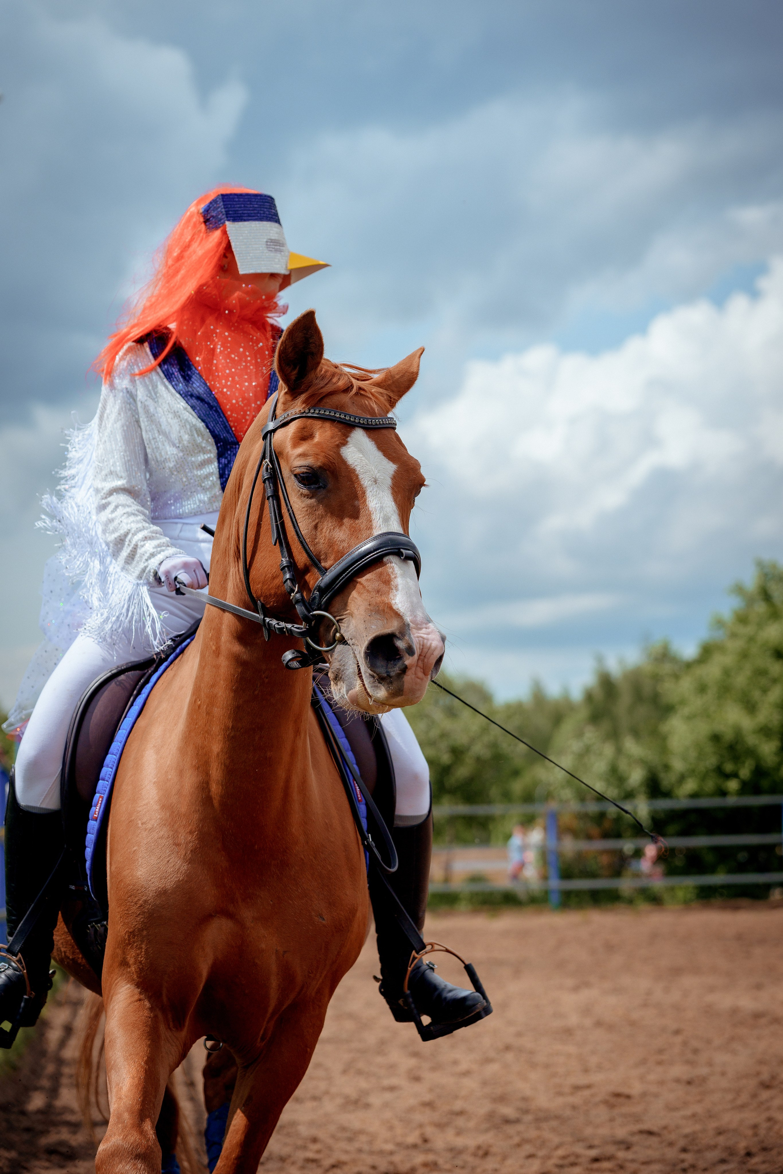 Конный клуб Горки. Портретный и семейный фотограф в Москве/Видное