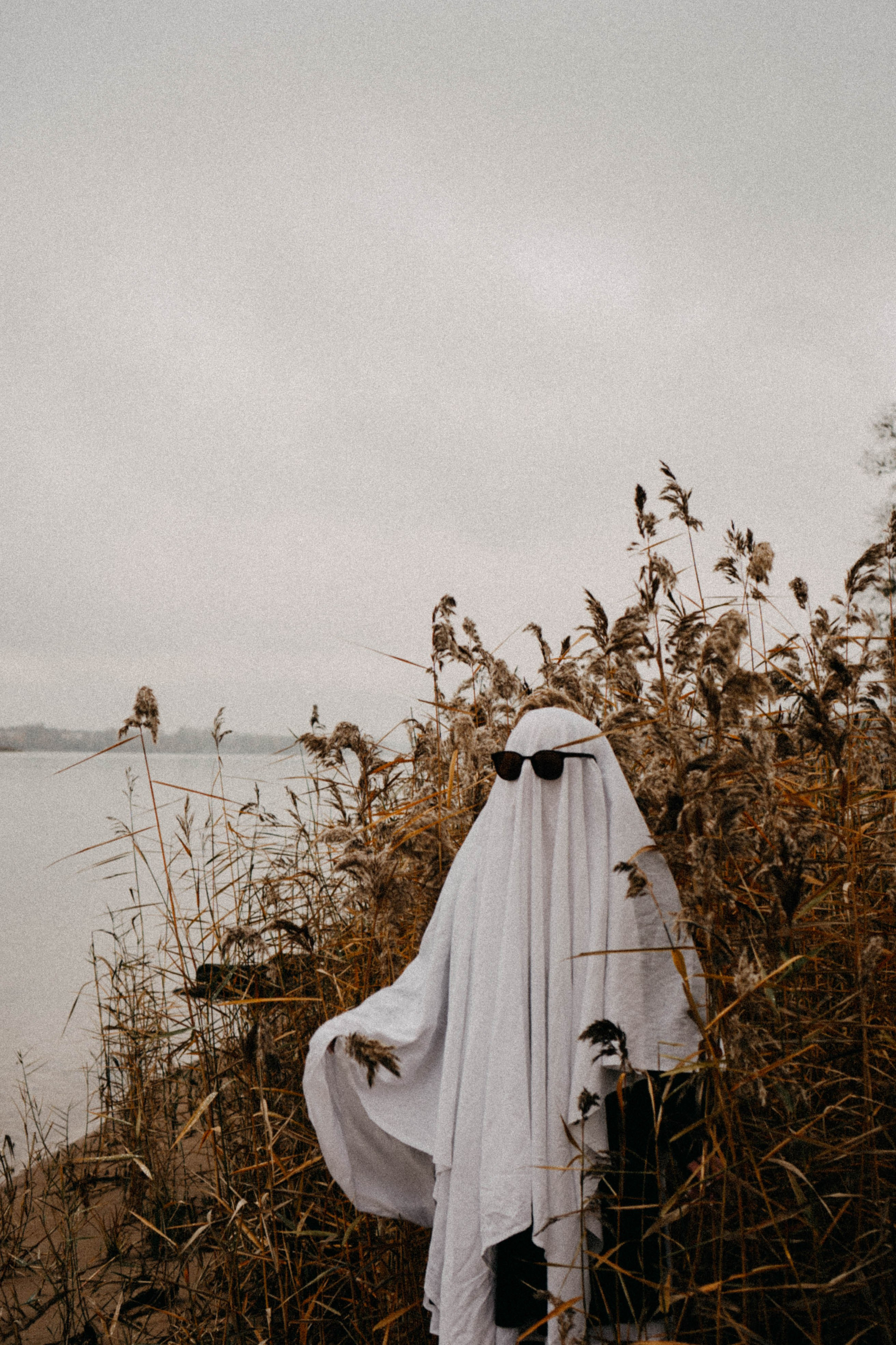 Осеняя. Профессиональный фотограф, Санкт-Петербург — Виктория Богомолова