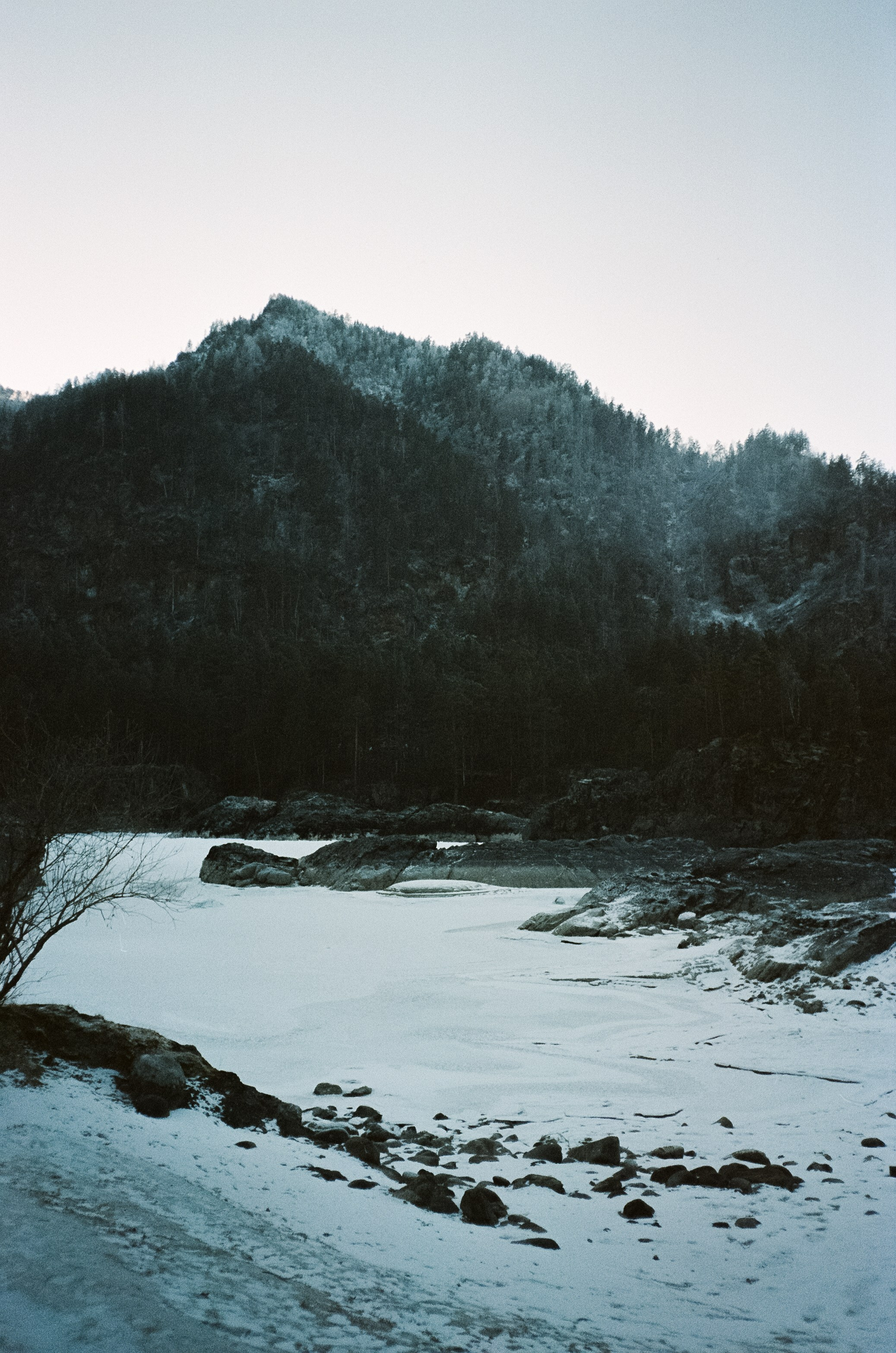 Кедровый остров в суровый мороз. Фотограф-документалист Мария Осокина