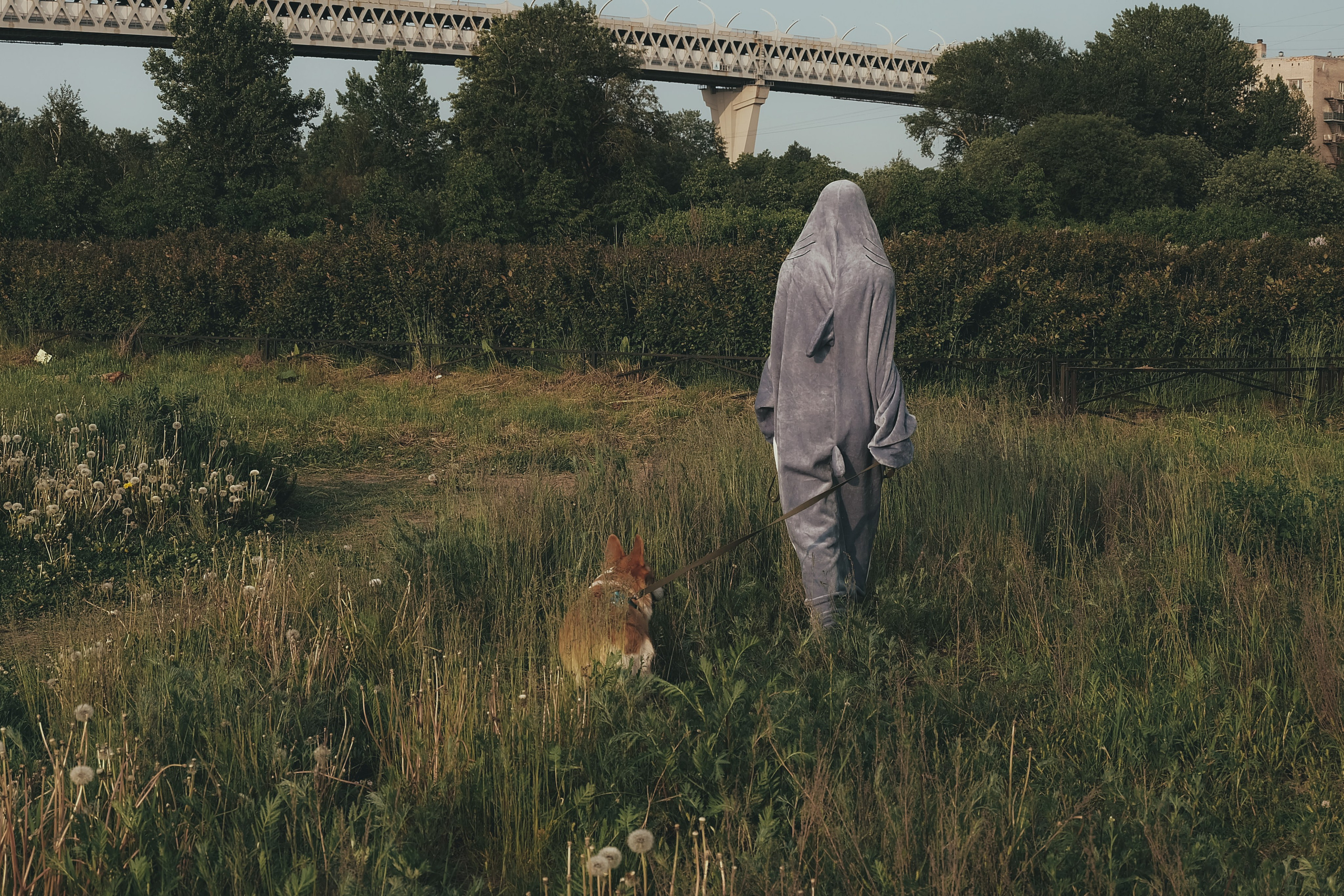 Shark and Hum. Портретный фотограф DanilNabody