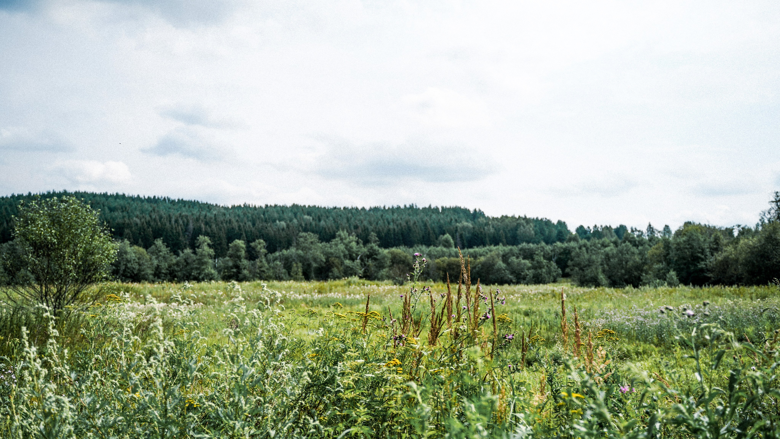 СПОРТ. TOTSKY