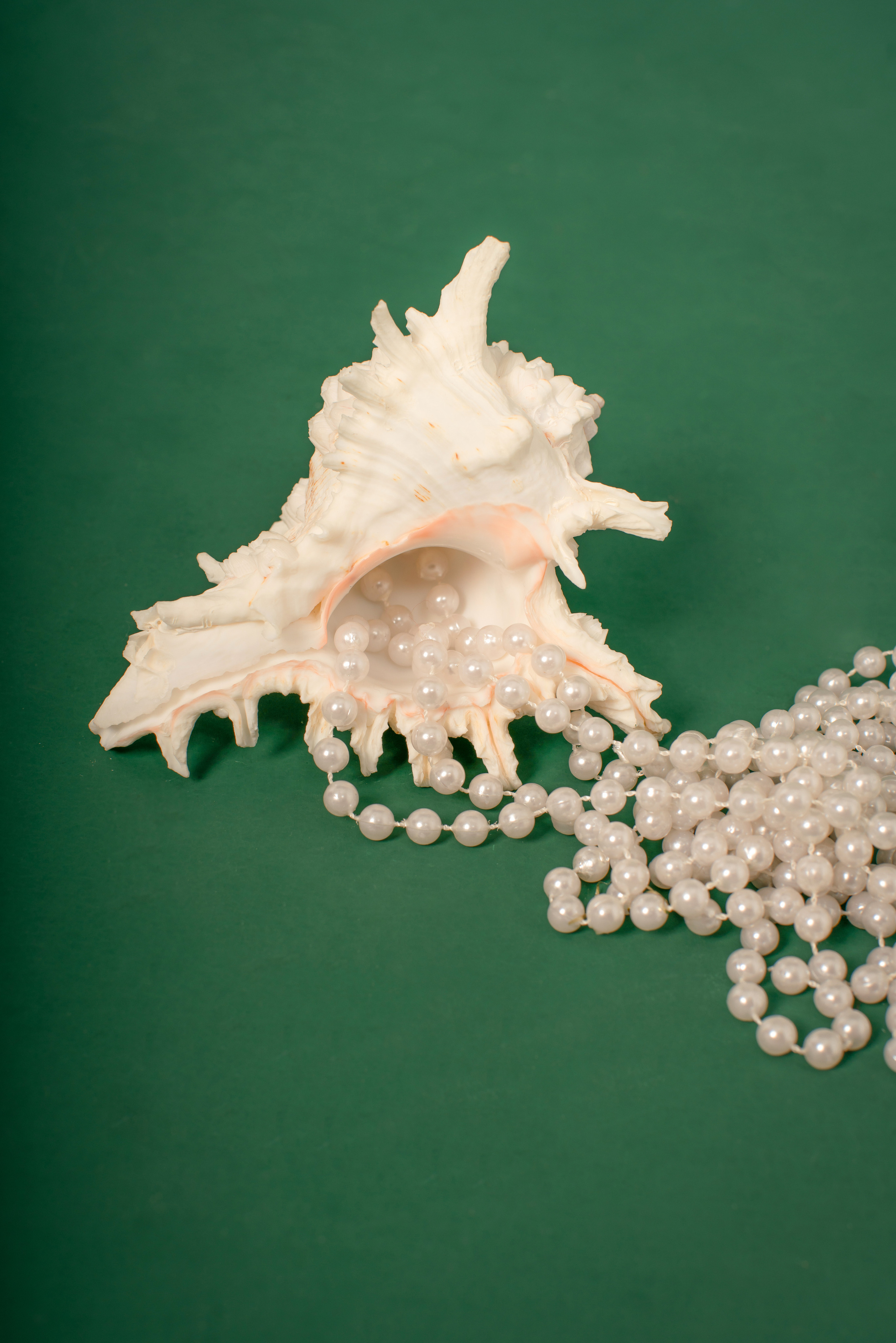 Евгения. Контент. Анна Блохина Фотограф Звенигород Одинцово Истра Красногорск Москва