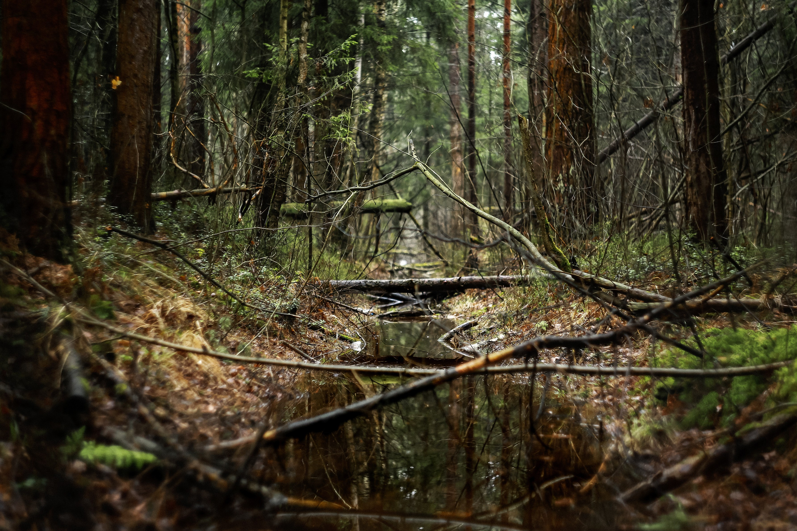 Магия обыкновенного. Фотограф-документалист и фототерапевт Настя Китаева. Город Москва
