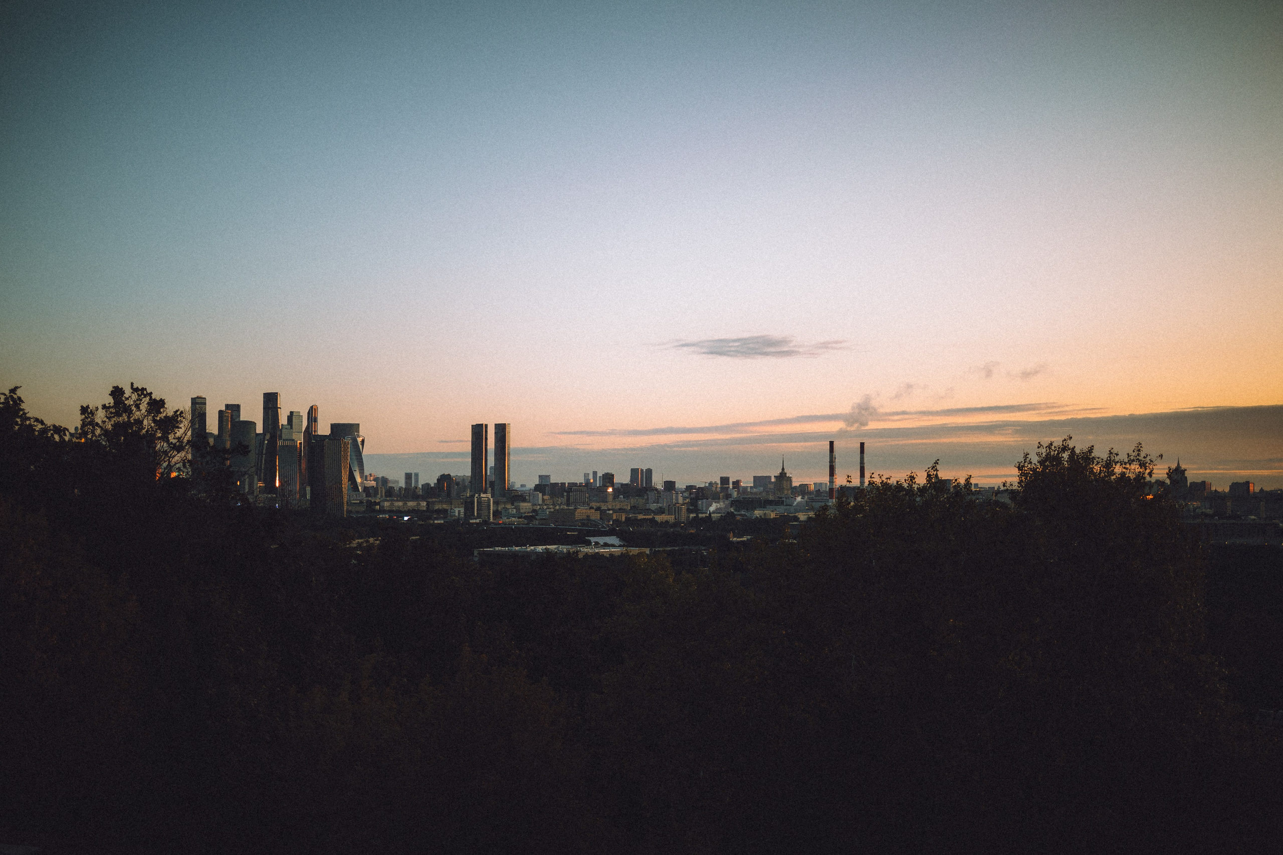 Пуговка и ее семья