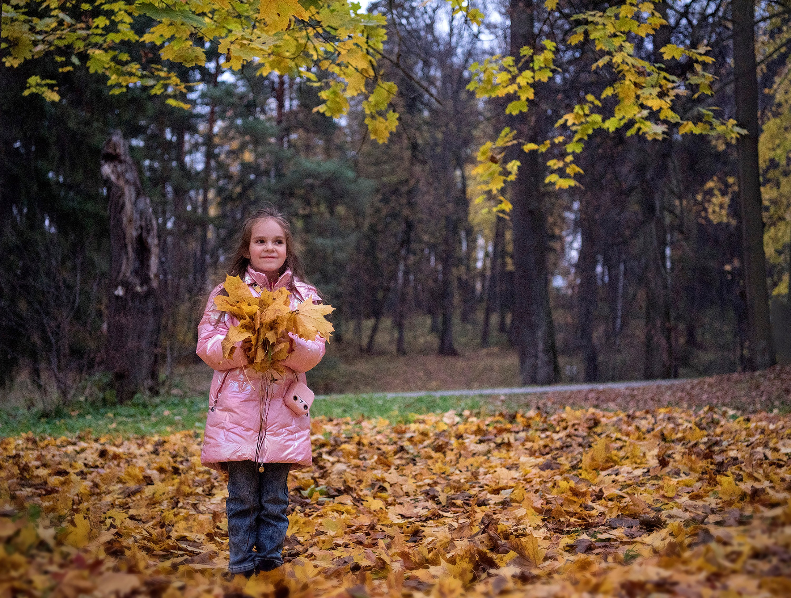 Золотая осень. Семейный и детский фотограф в Москве Алена Прошкина