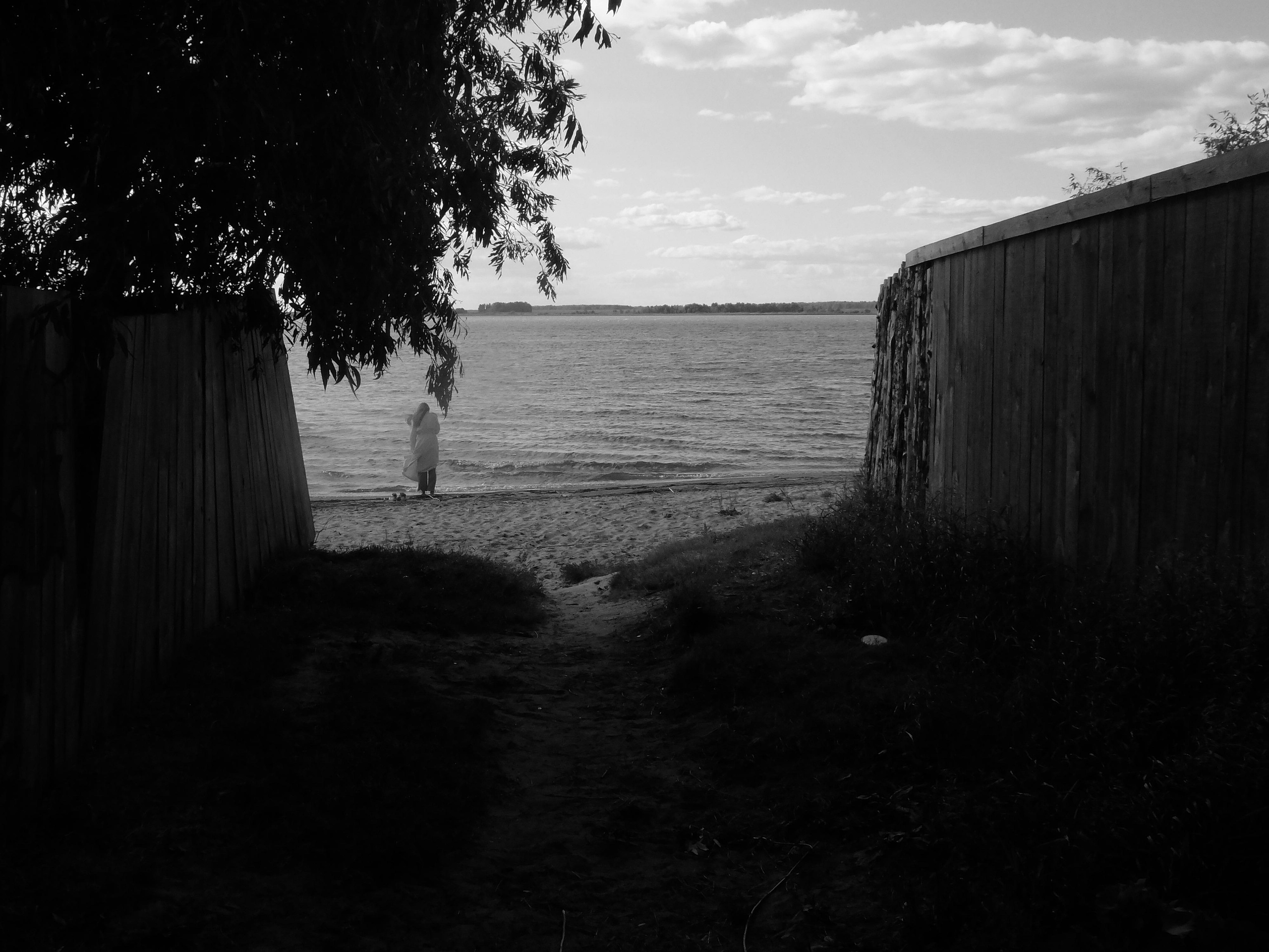 Влюбленные в жизнь