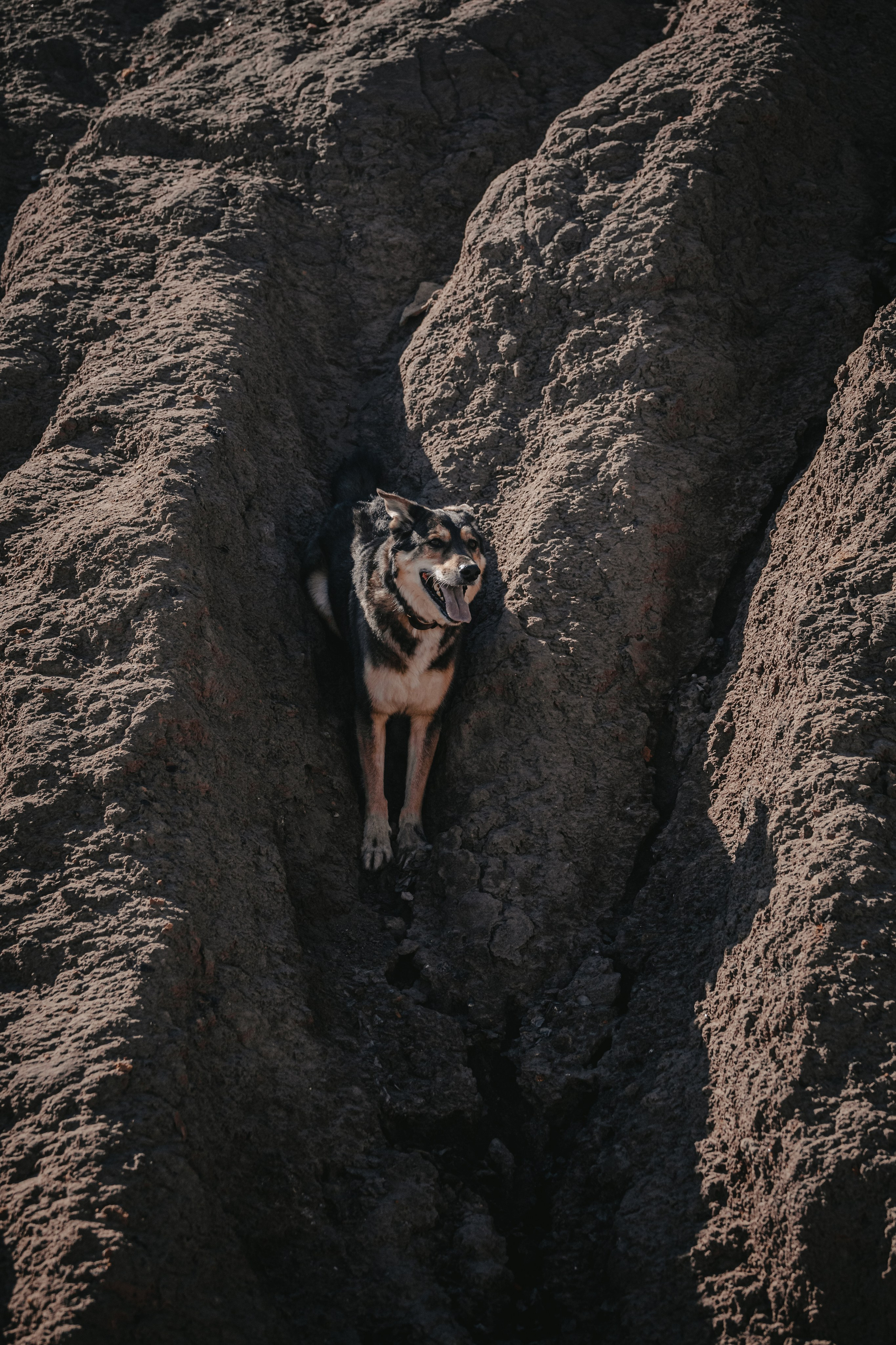 Кондуки. Фотограф-анималист Татьяна Степанова