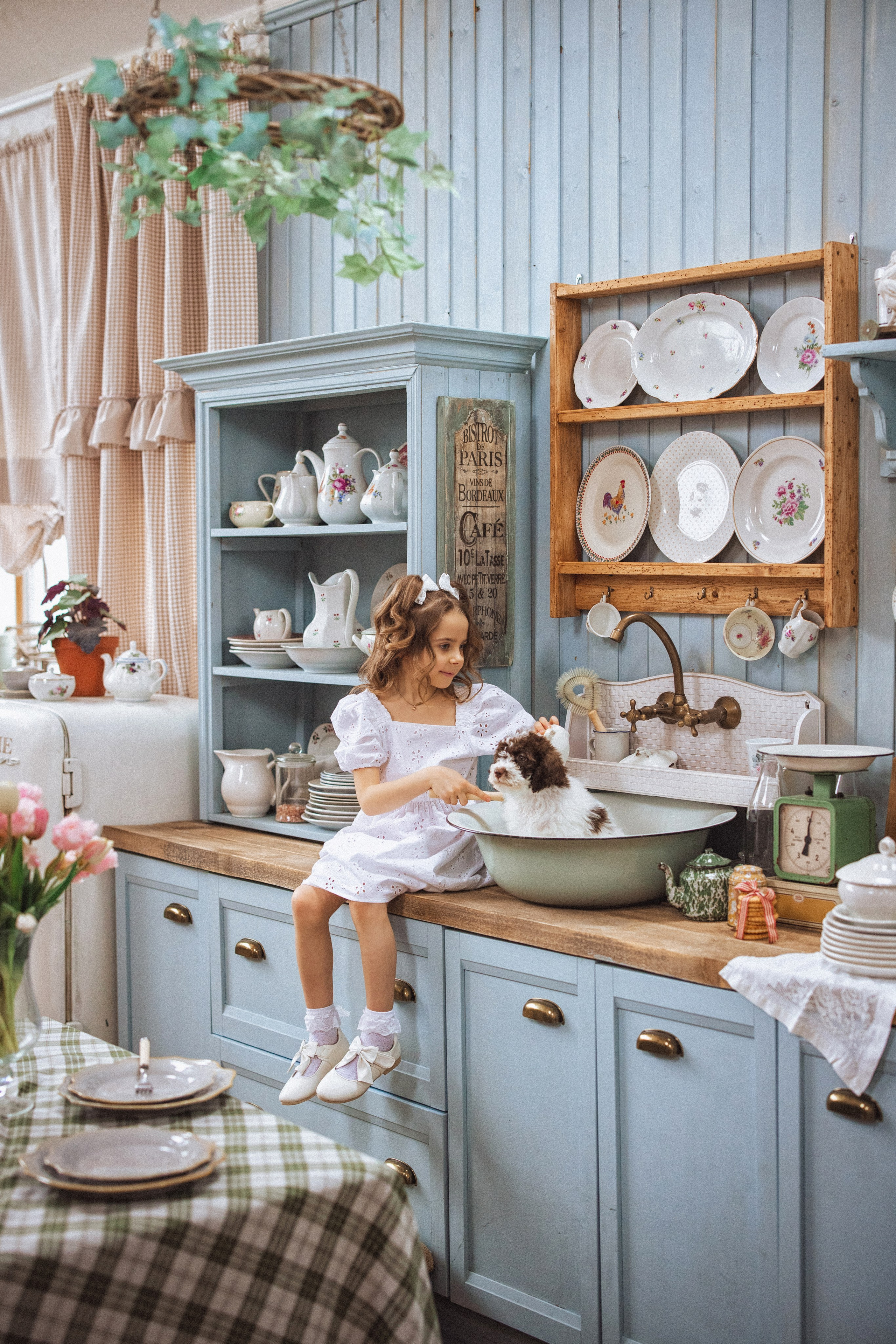 Фотосессия с щенками Лаго́тто-романьо́ло, в Винтажной фотостудии город Краснодар. Семейный и детский фотограф в Краснодаре Анна Трашкова