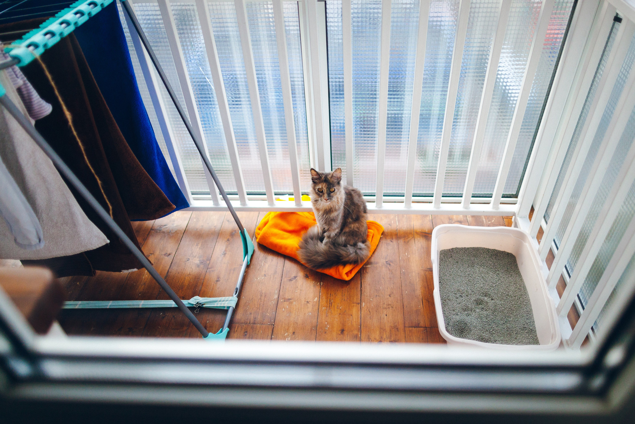 ***. Фотограф Денис Денисов