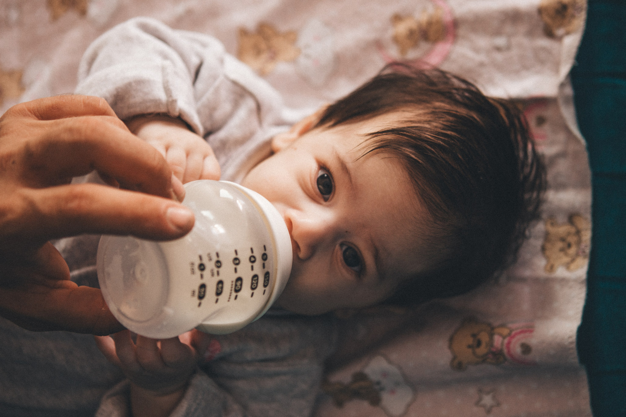 Afina and family. Portrait, family and pet photographer in Cyprus, Ksenia Bourdelle