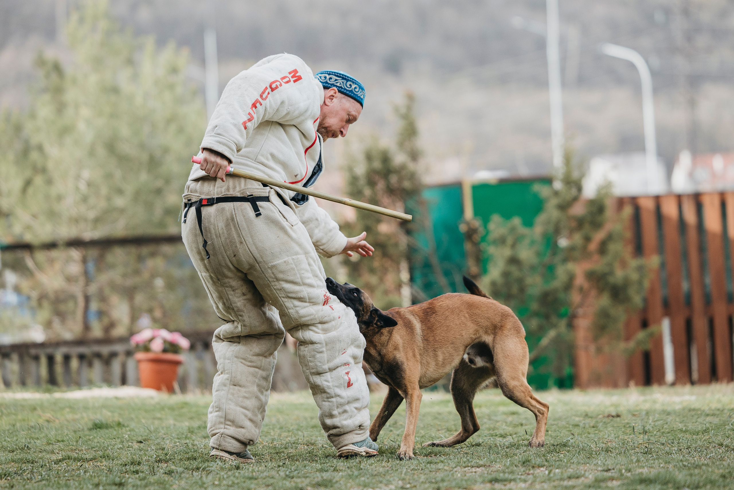 Геленджик Мондьоринг. Фотограф-анималист Анна Маринич