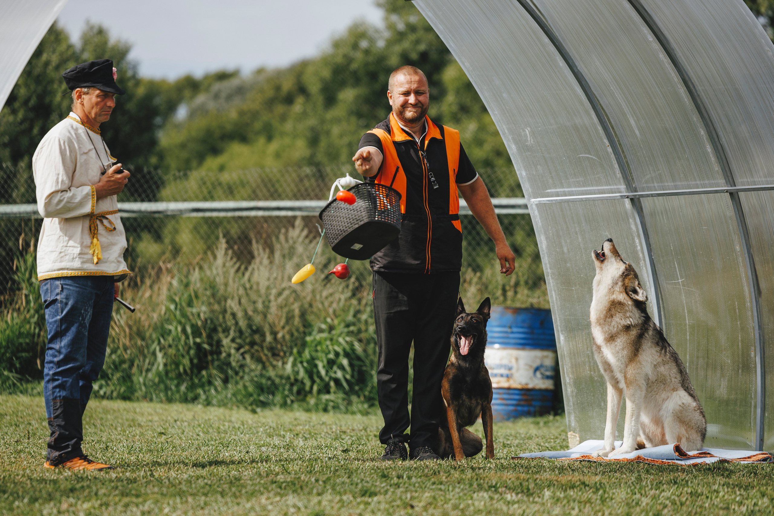 08.08.25-10.08.25 ЧР по мондьорингу г. Вологда. Фотограф-анималист Анна Маринич