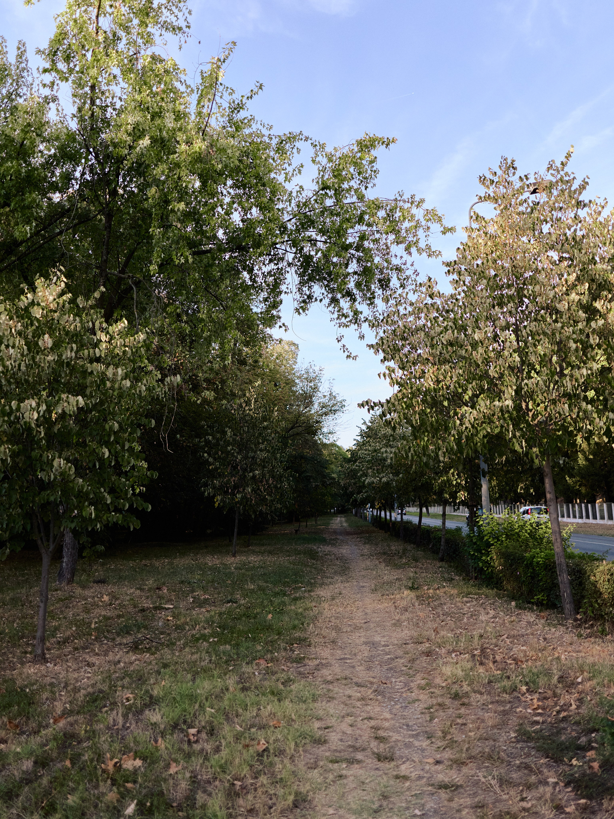 Другое 6. Jorgis — фотограф Сербия Белград