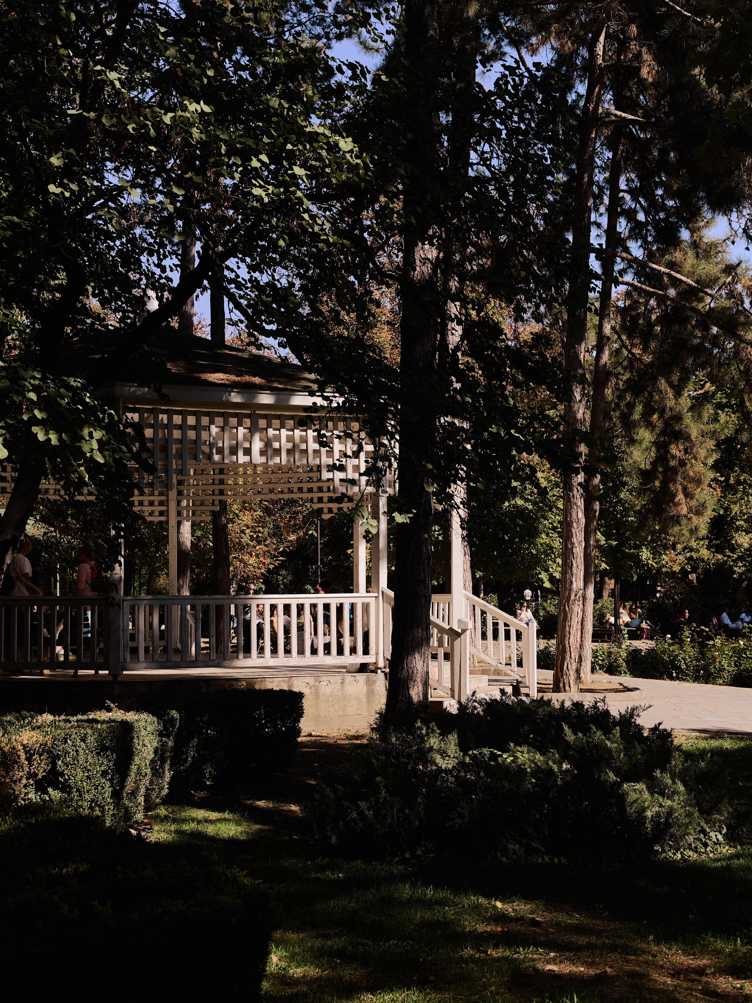 Другое 6. Jorgis — фотограф Сербия Белград