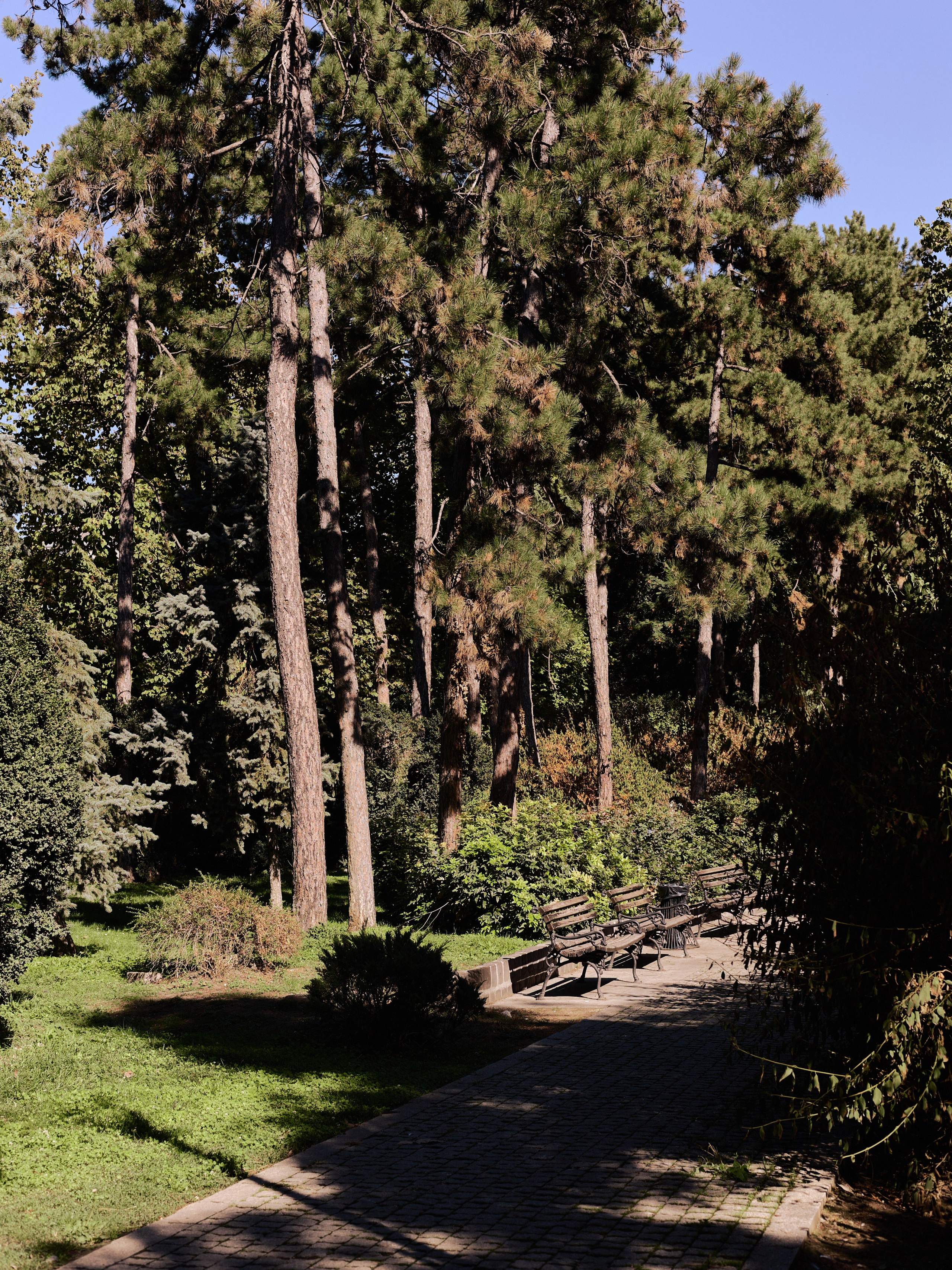 Другое 6. Jorgis — фотограф Сербия Белград