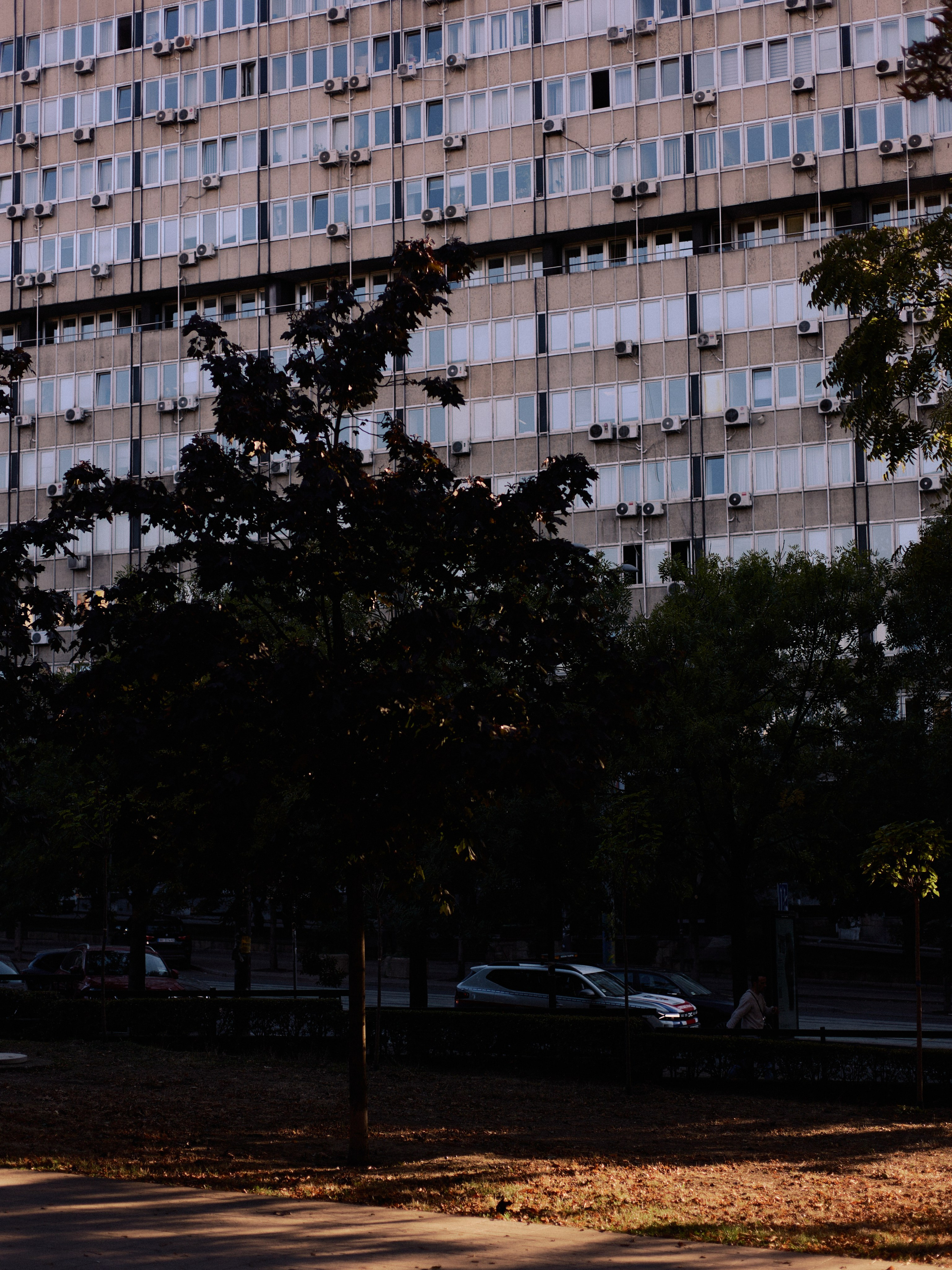 Другое 6. Jorgis — фотограф Сербия Белград