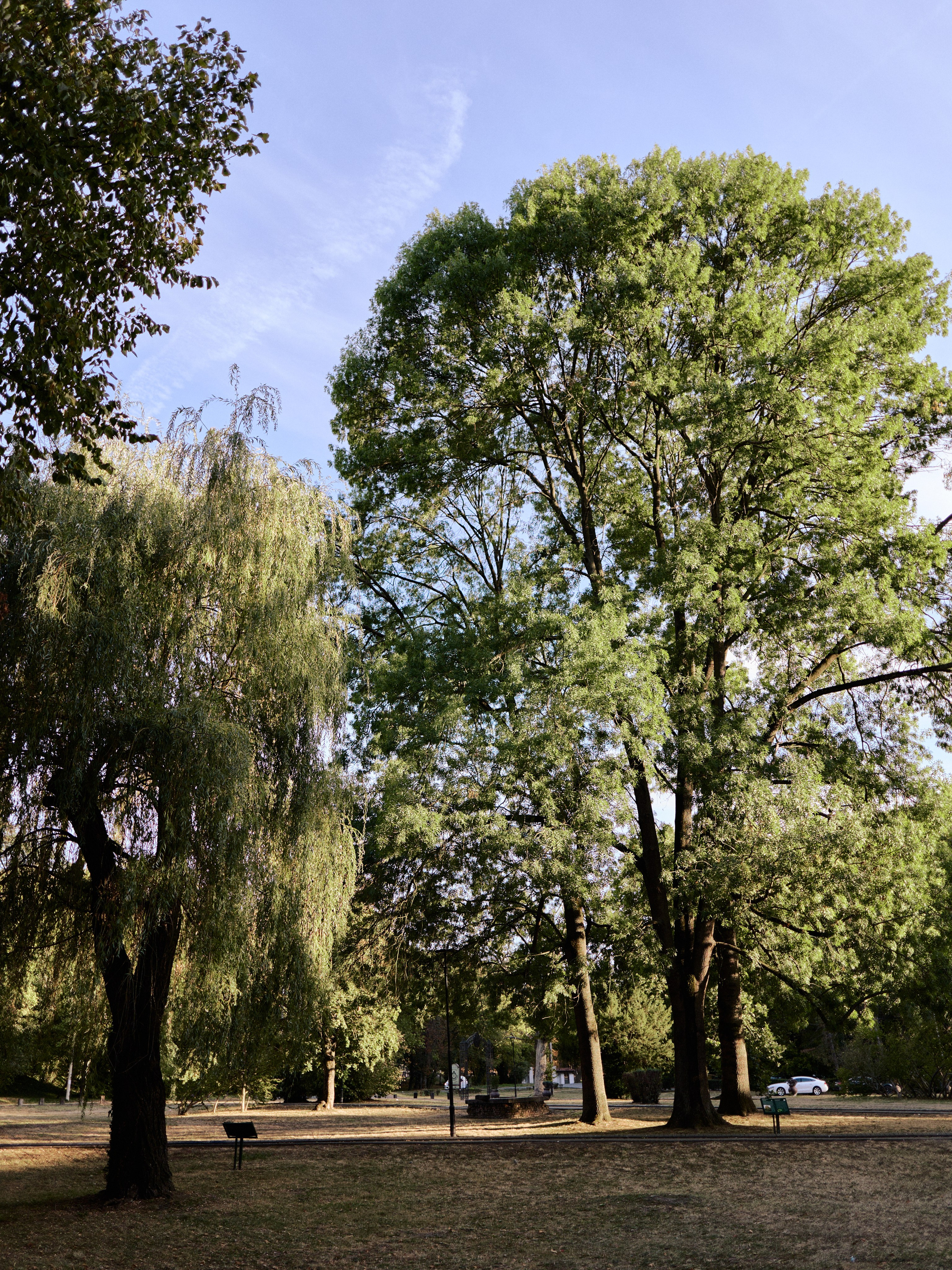 Другое 6. Jorgis — фотограф Сербия Белград