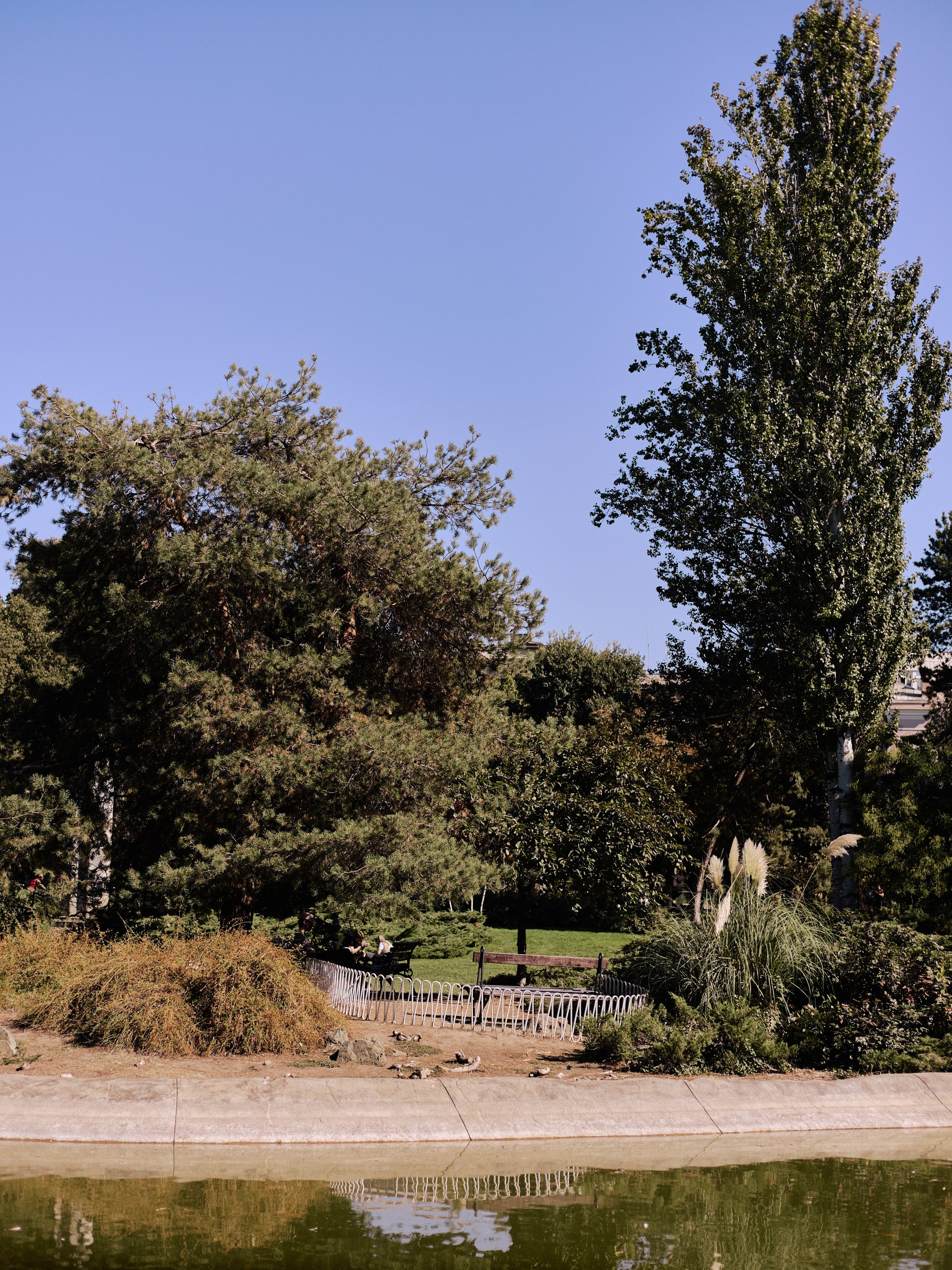 Другое 6. Jorgis — фотограф Сербия Белград