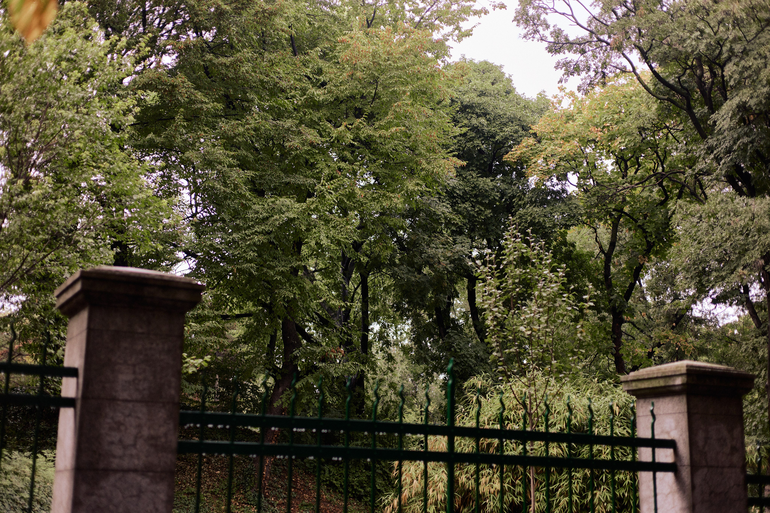 Другое 6. Jorgis — фотограф Сербия Белград