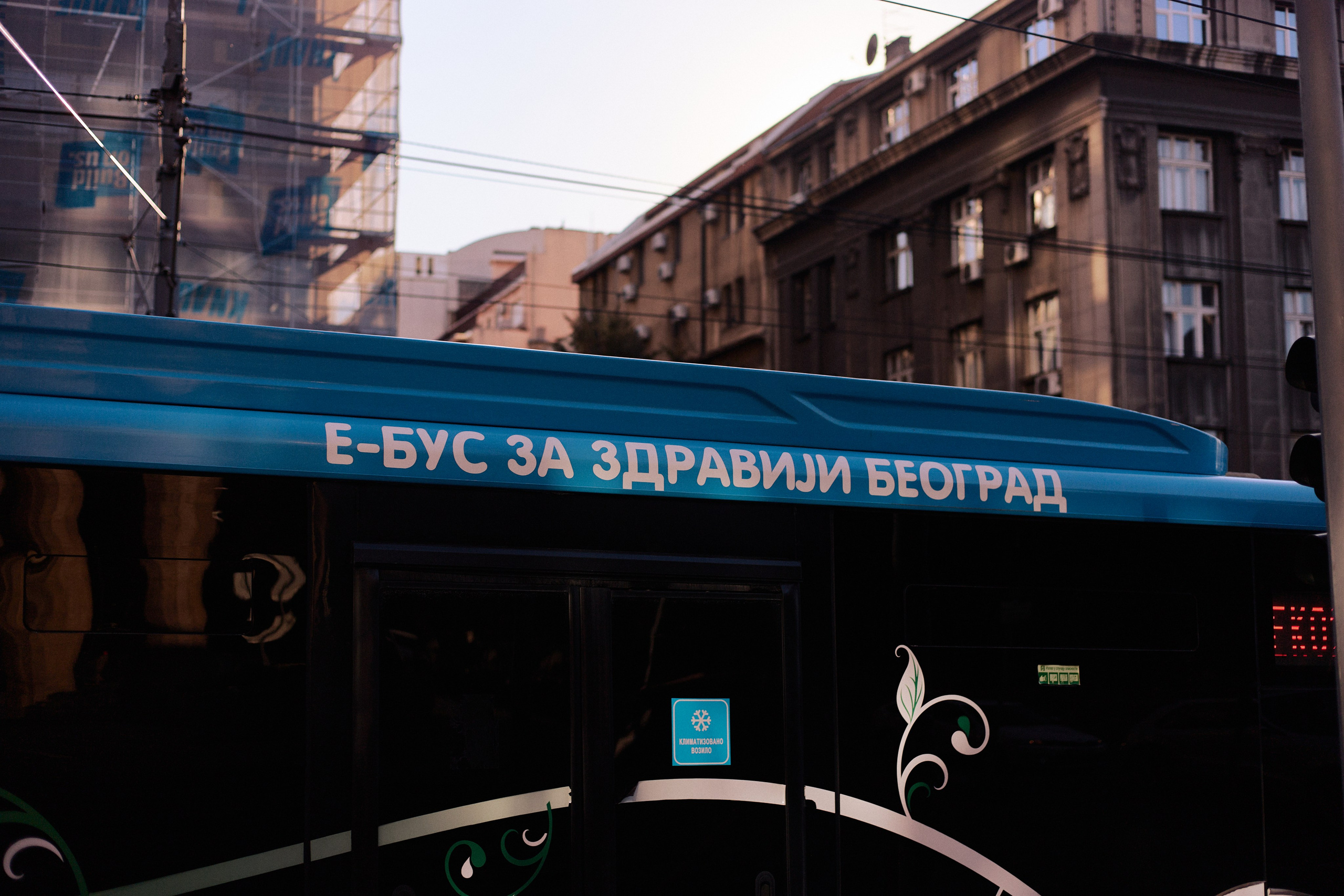 Другое 6. Jorgis — фотограф Сербия Белград
