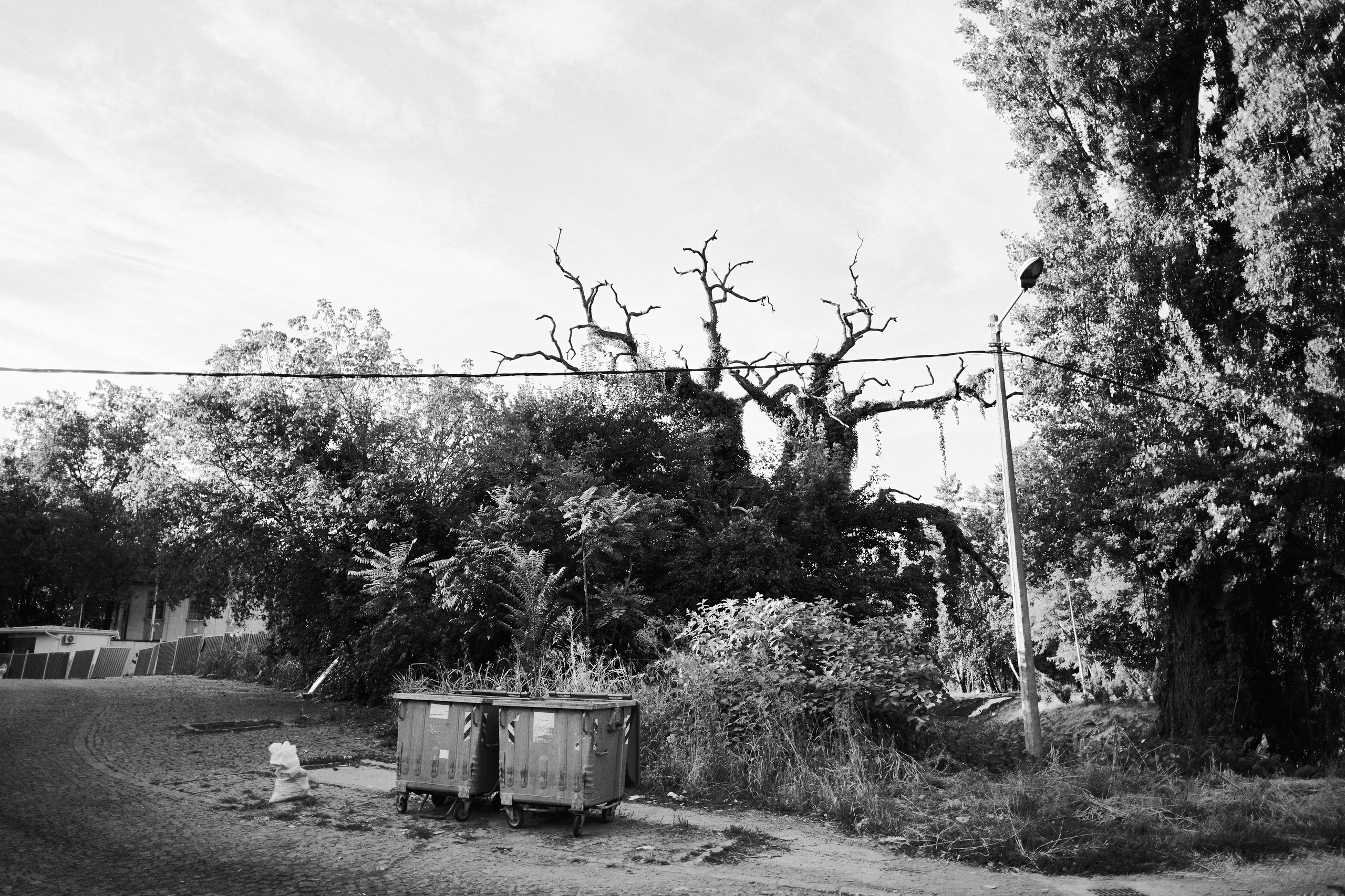 Другое 6. Jorgis — фотограф Сербия Белград