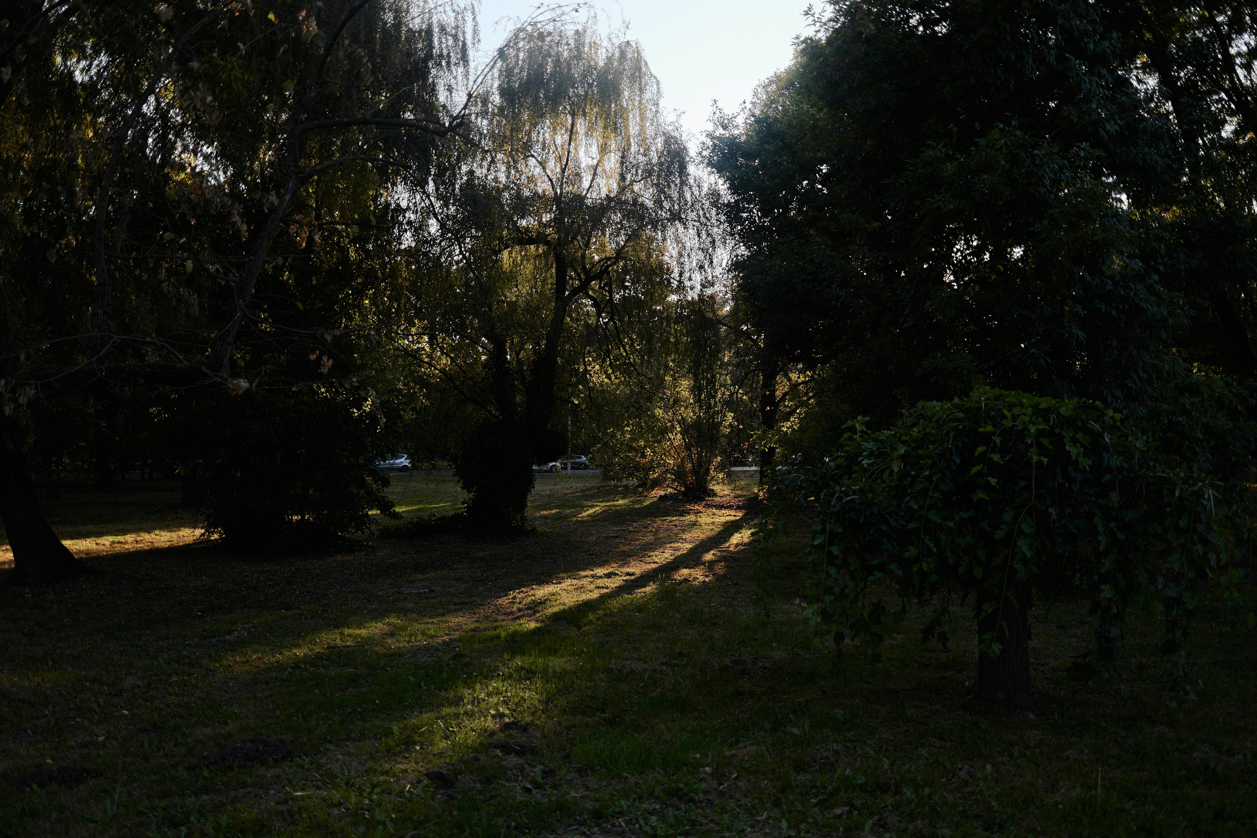 Другое 6. Jorgis — фотограф Сербия Белград