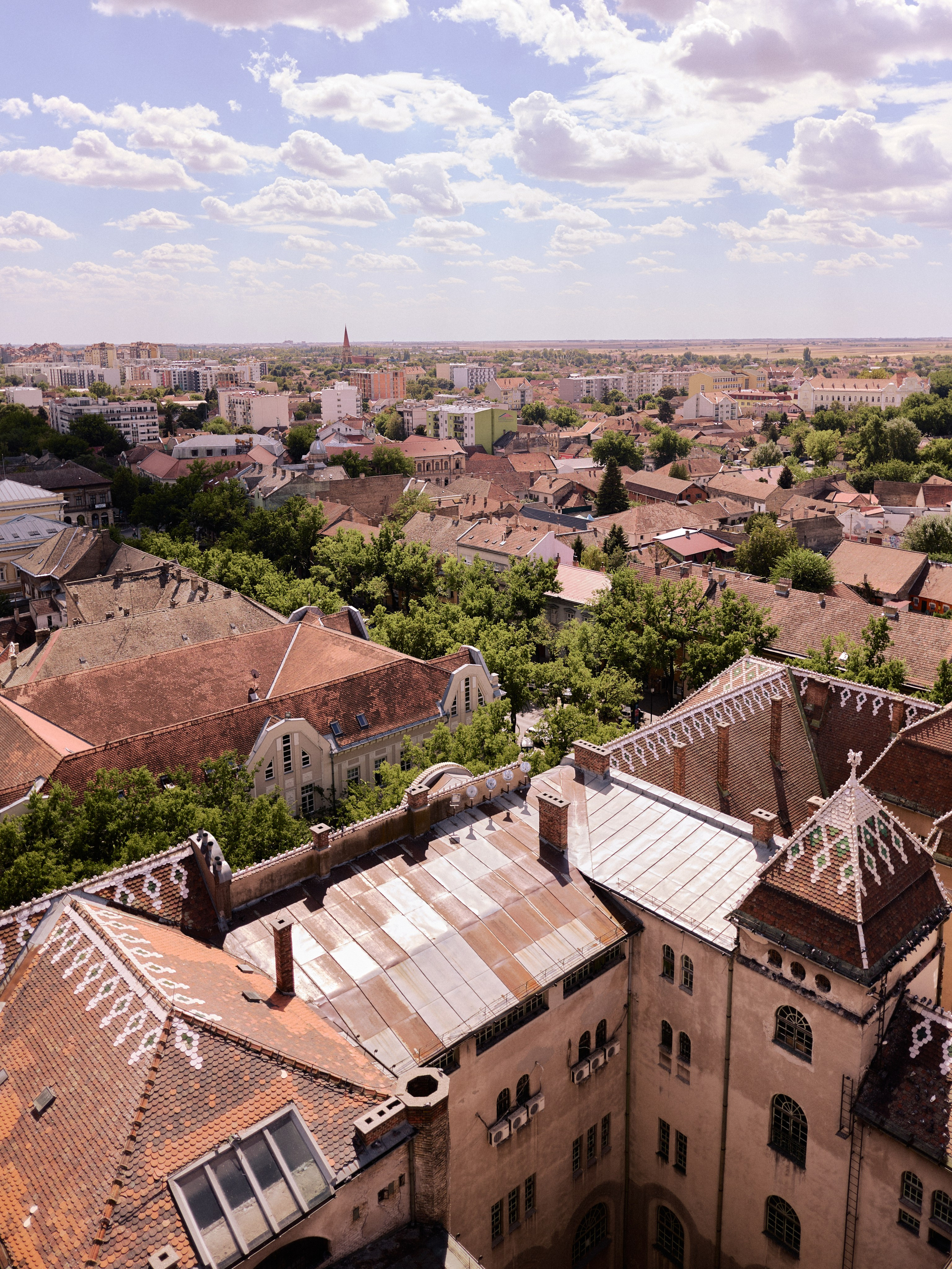 Другое 6. Jorgis — фотограф Сербия Белград