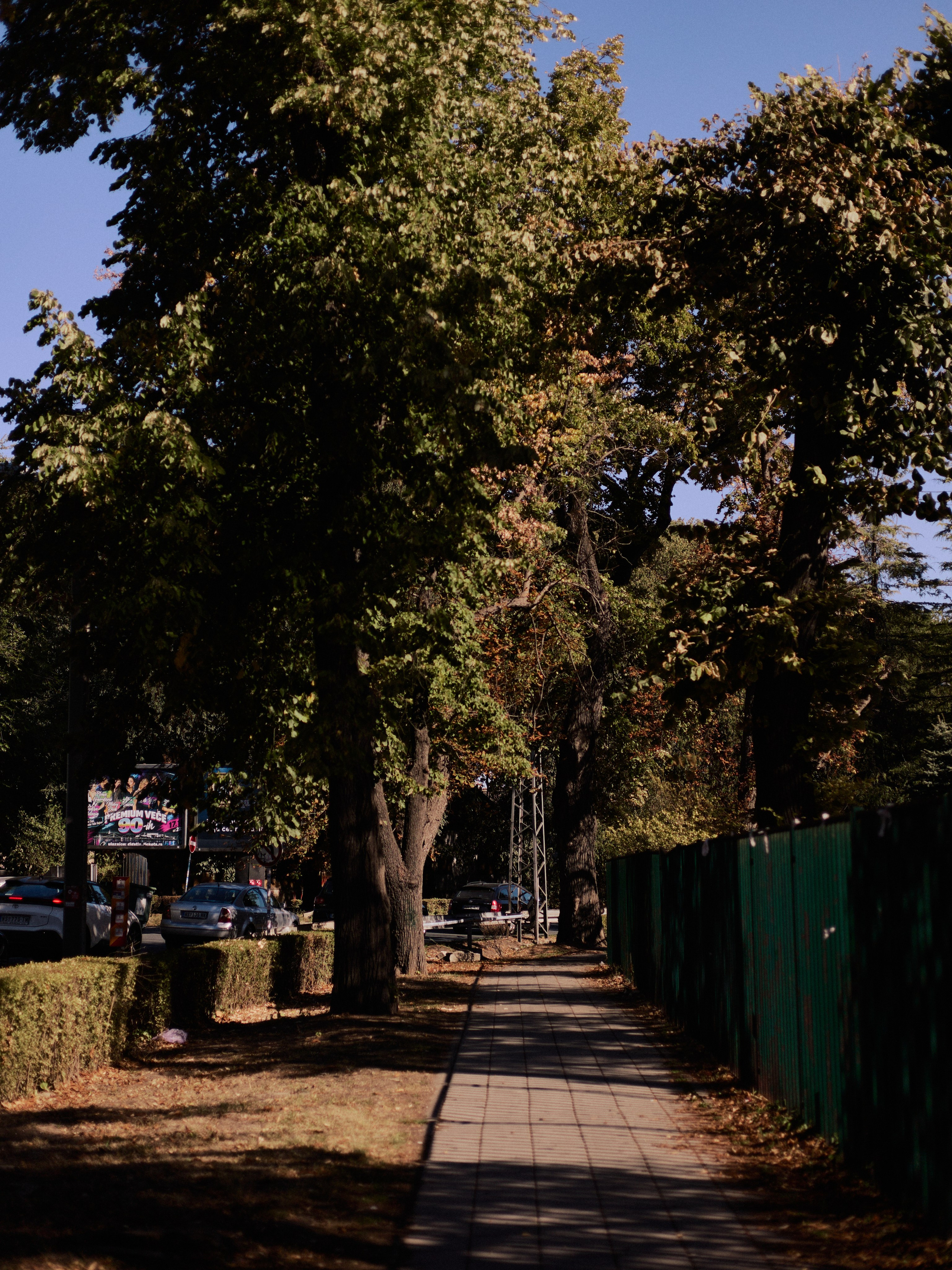 Другое 6. Jorgis — фотограф Сербия Белград