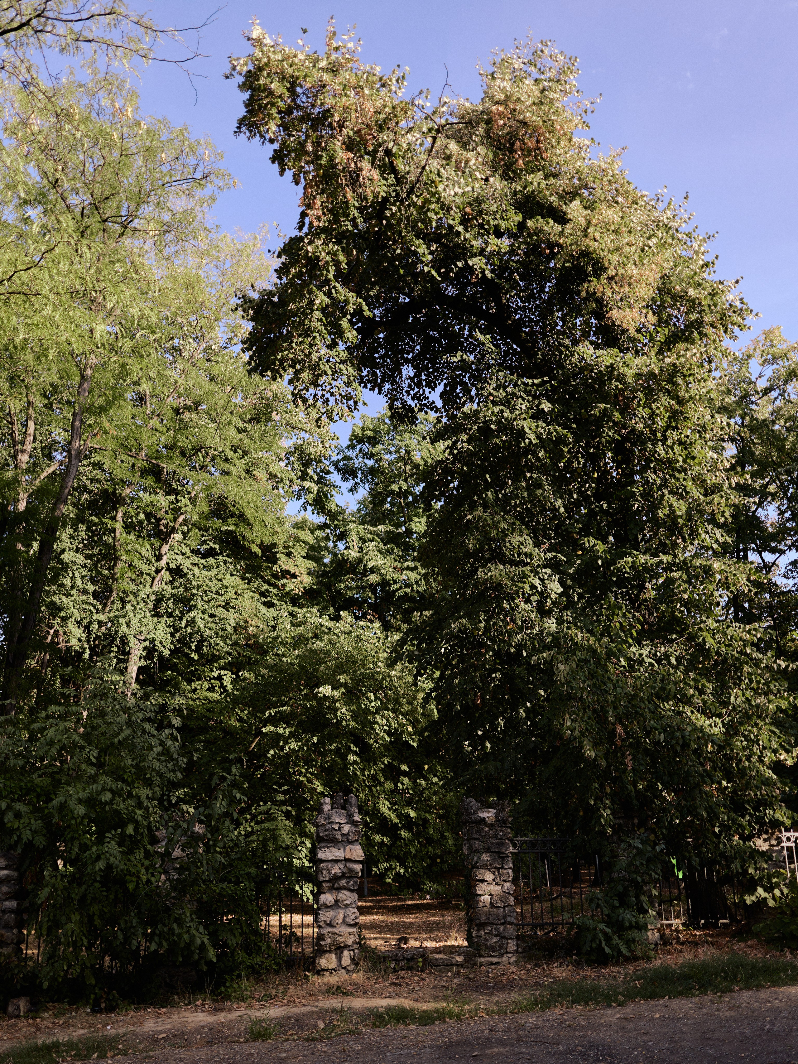 Другое 6. Jorgis — фотограф Сербия Белград