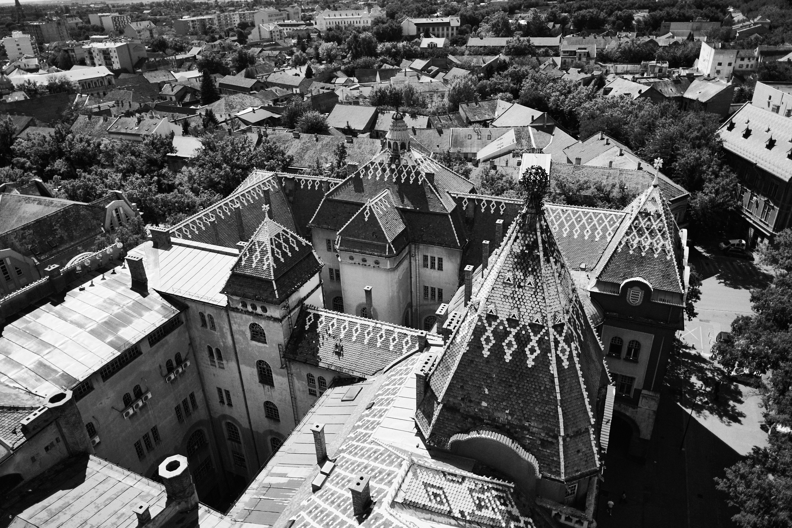 Другое 6. Jorgis — фотограф Сербия Белград