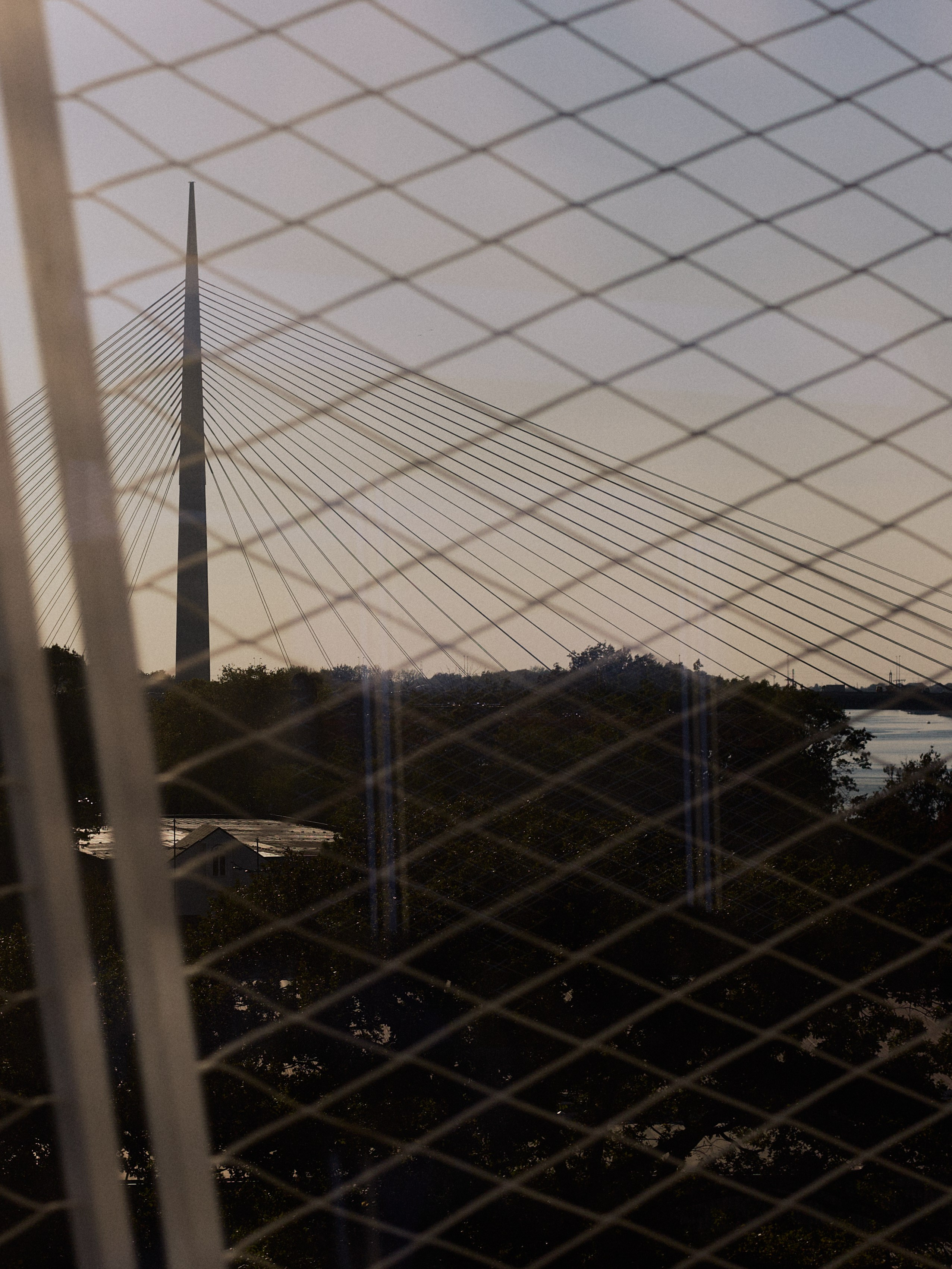 Другое 6. Jorgis — фотограф Сербия Белград