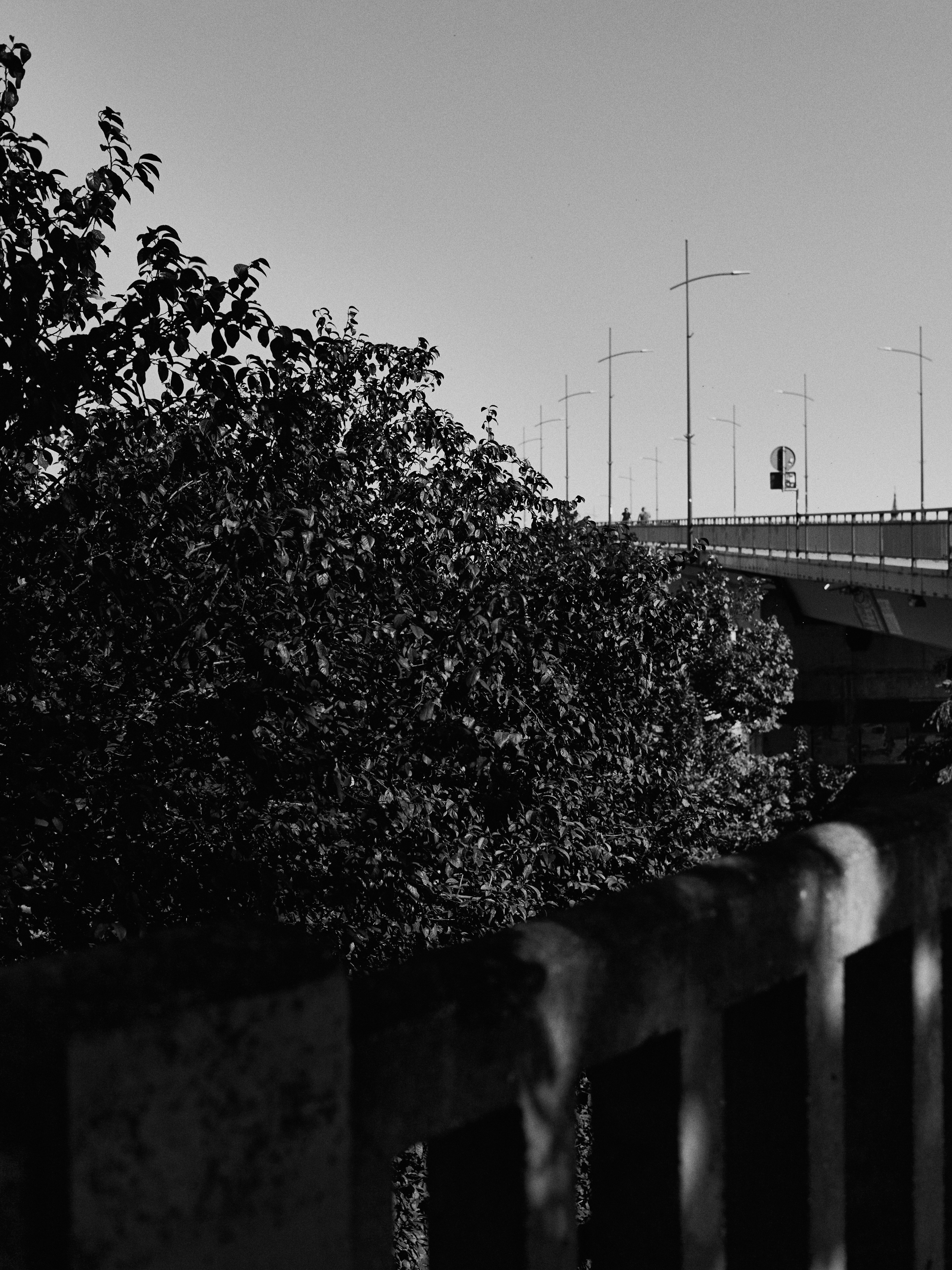 Другое 6. Jorgis — фотограф Сербия Белград
