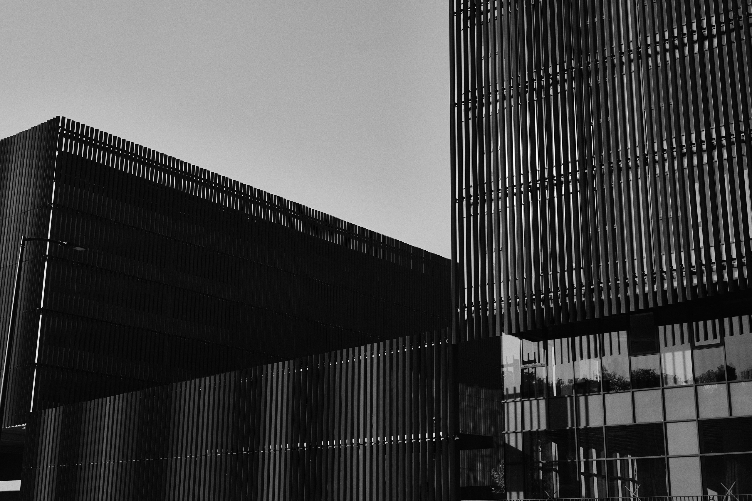 Другое 6. Jorgis — фотограф Сербия Белград
