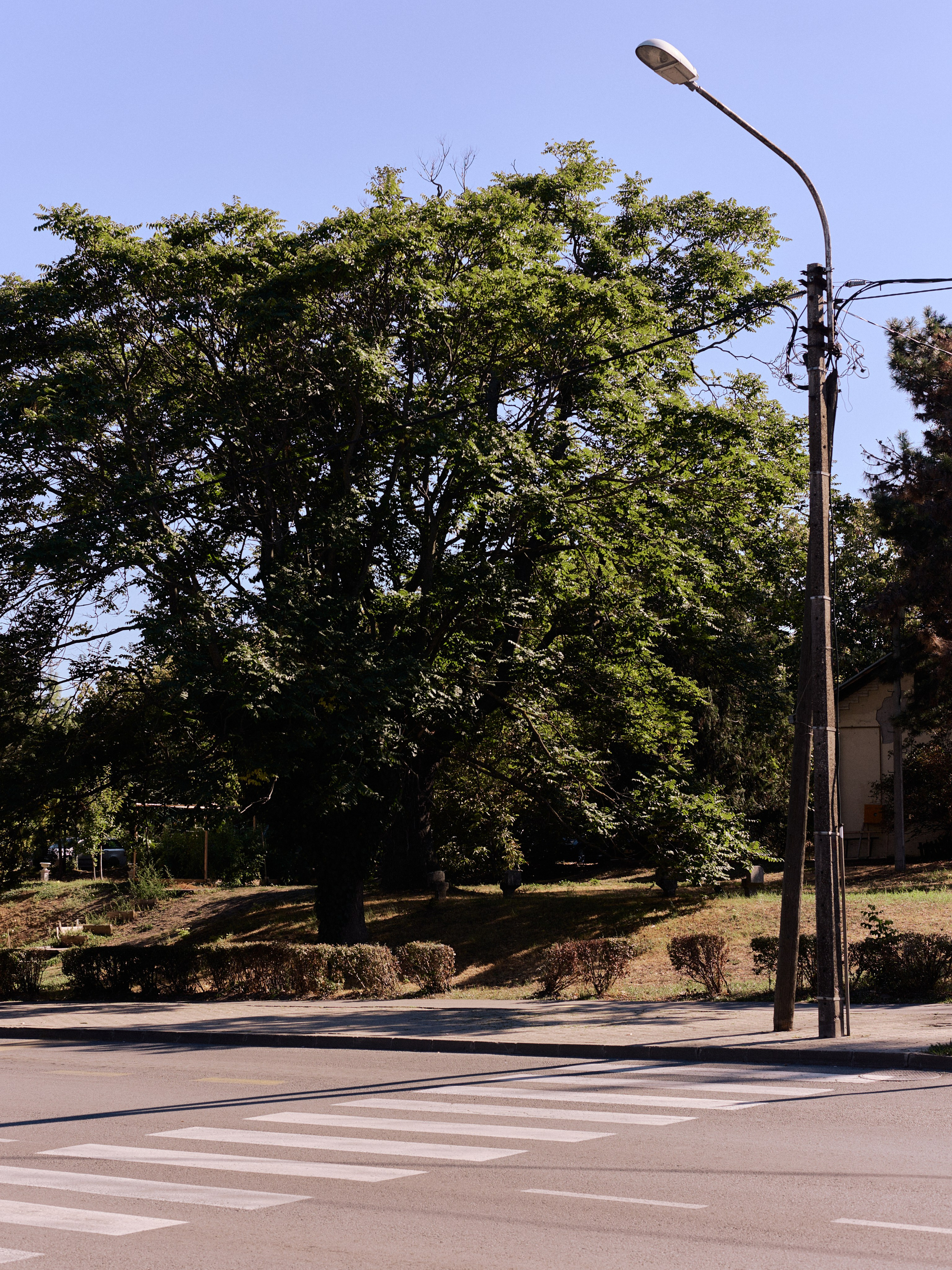 Другое 6. Jorgis — фотограф Сербия Белград