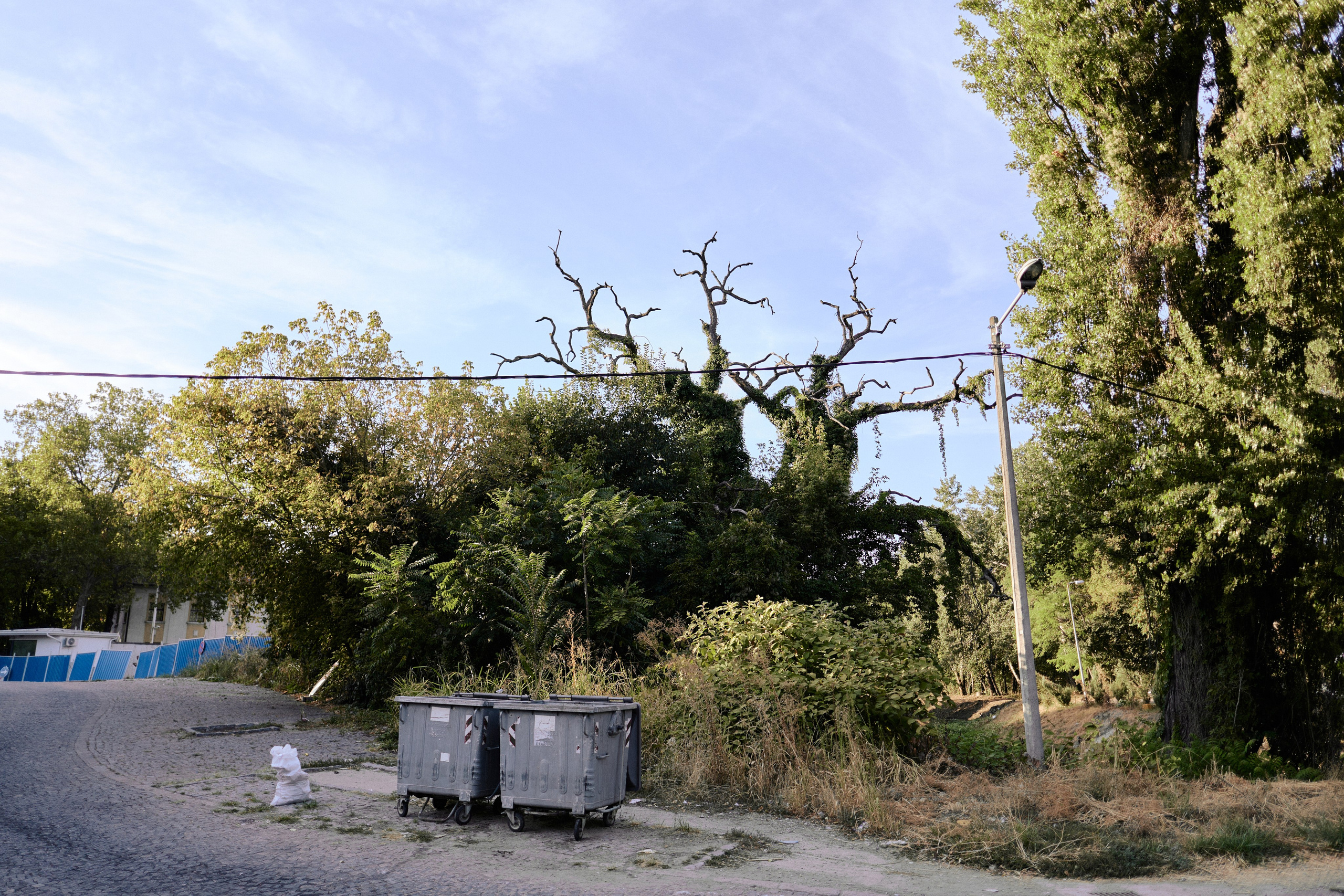 Другое 6. Jorgis — фотограф Сербия Белград