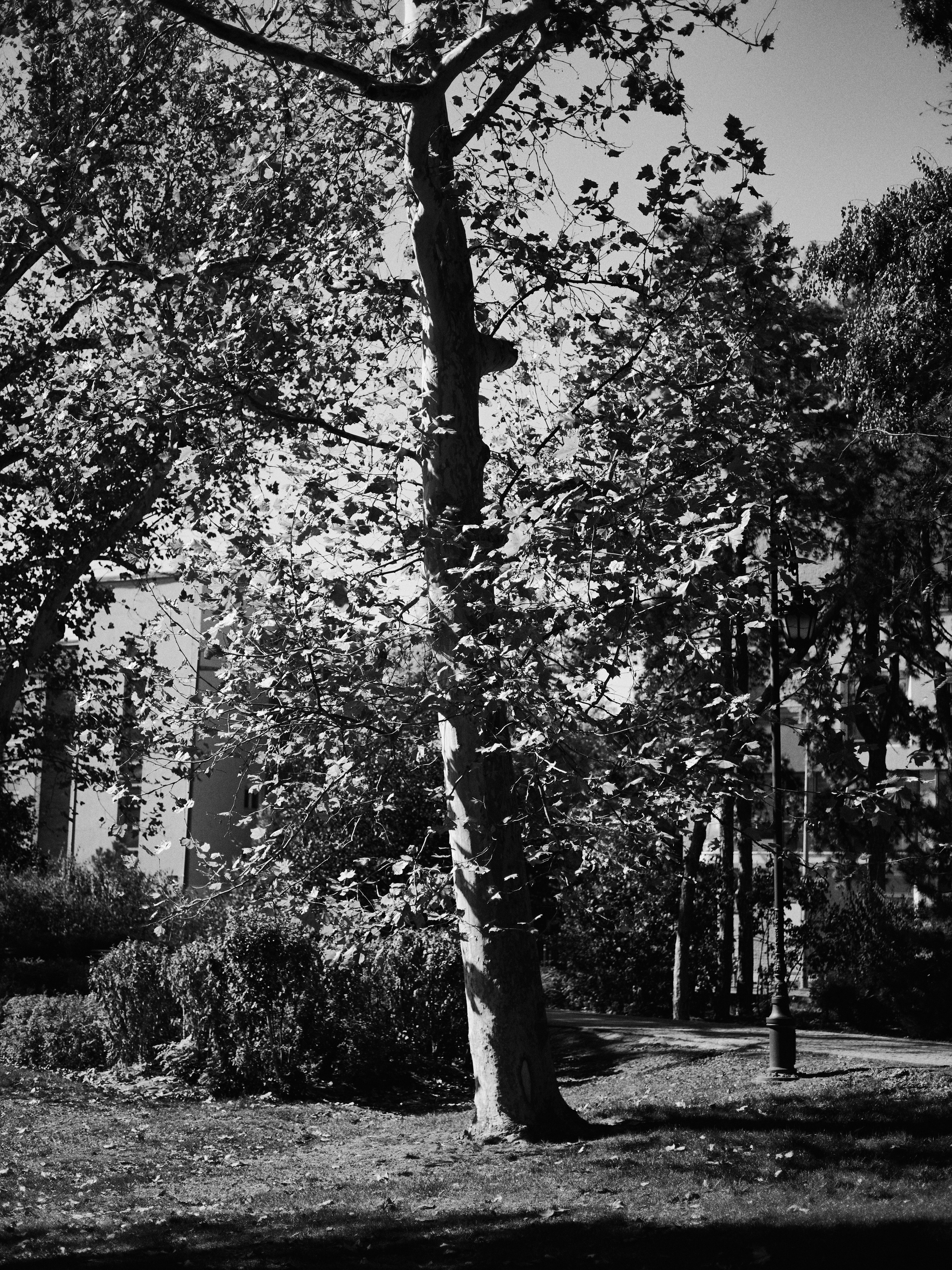 Другое 6. Jorgis — фотограф Сербия Белград