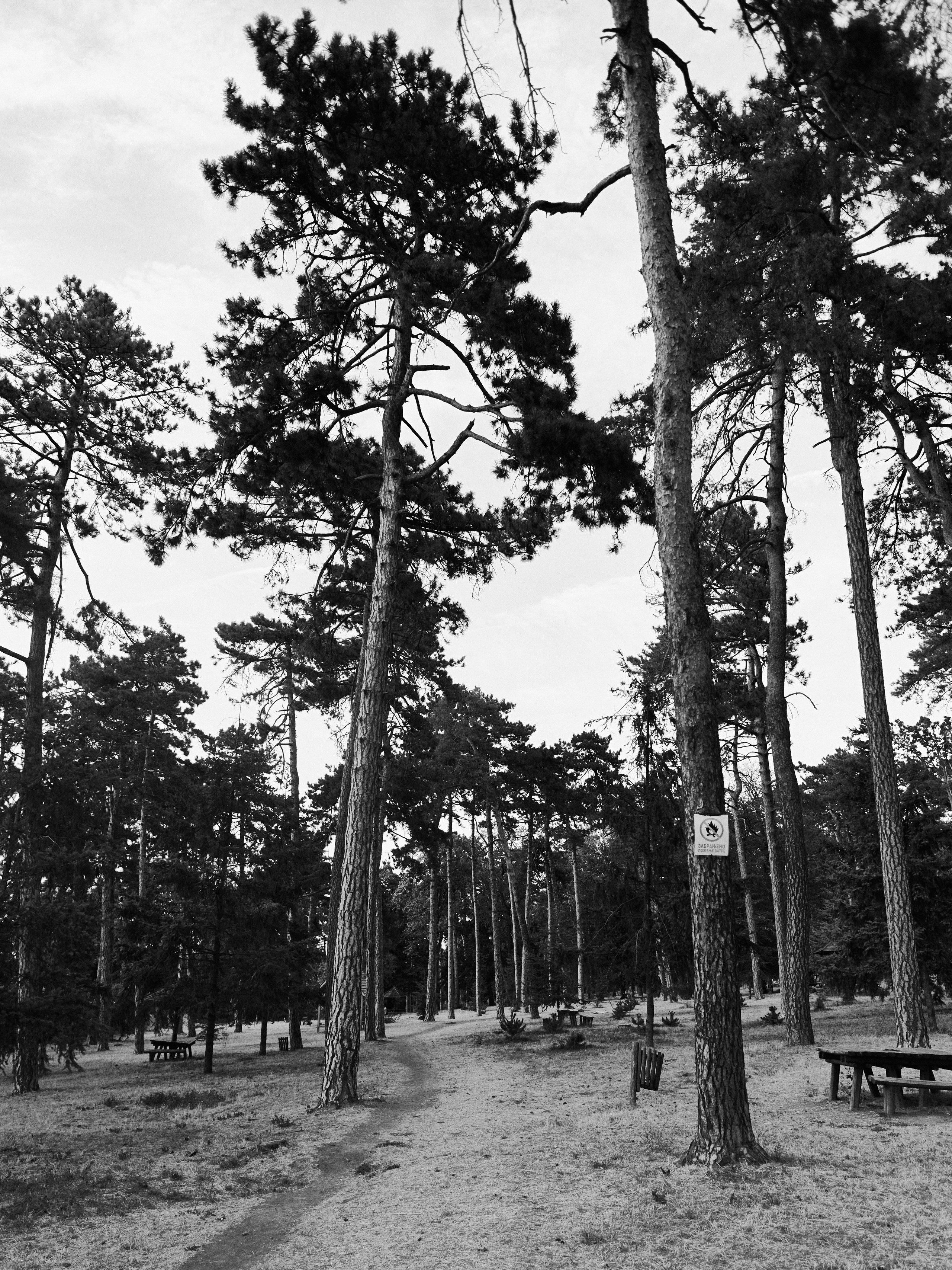 Другое 6. Jorgis — фотограф Сербия Белград