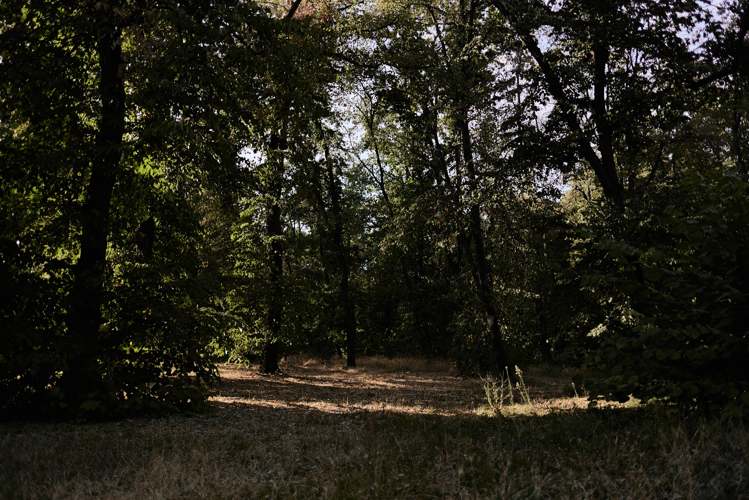 Другое 6. Jorgis — фотограф Сербия Белград
