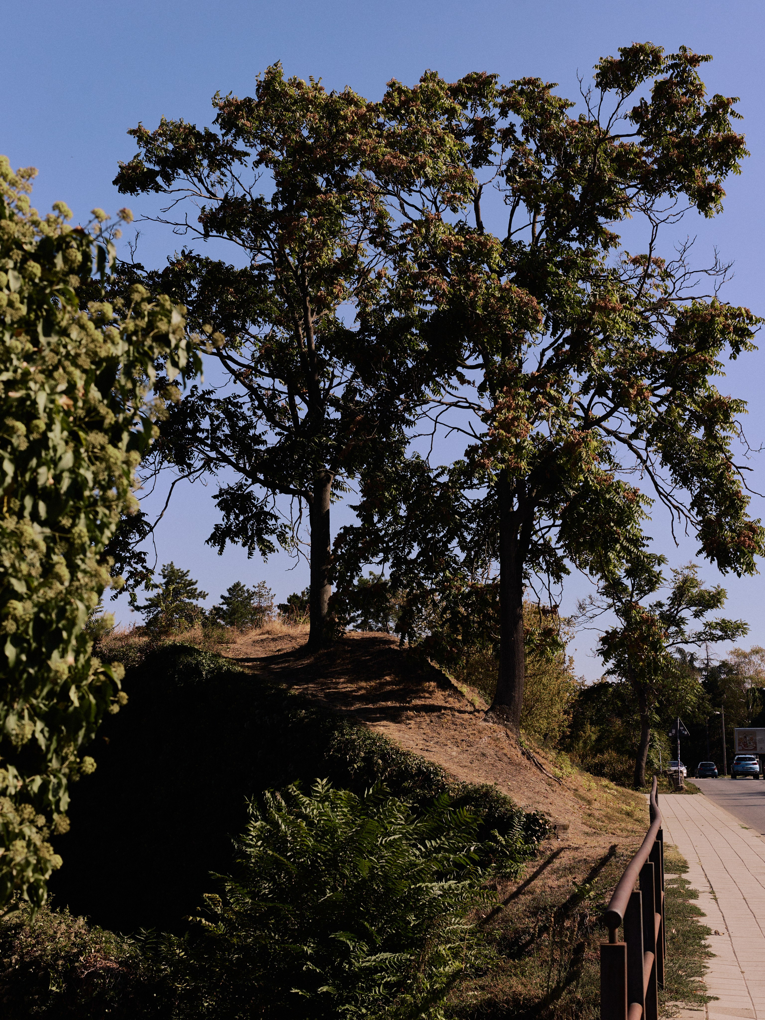Другое 6. Jorgis — фотограф Сербия Белград